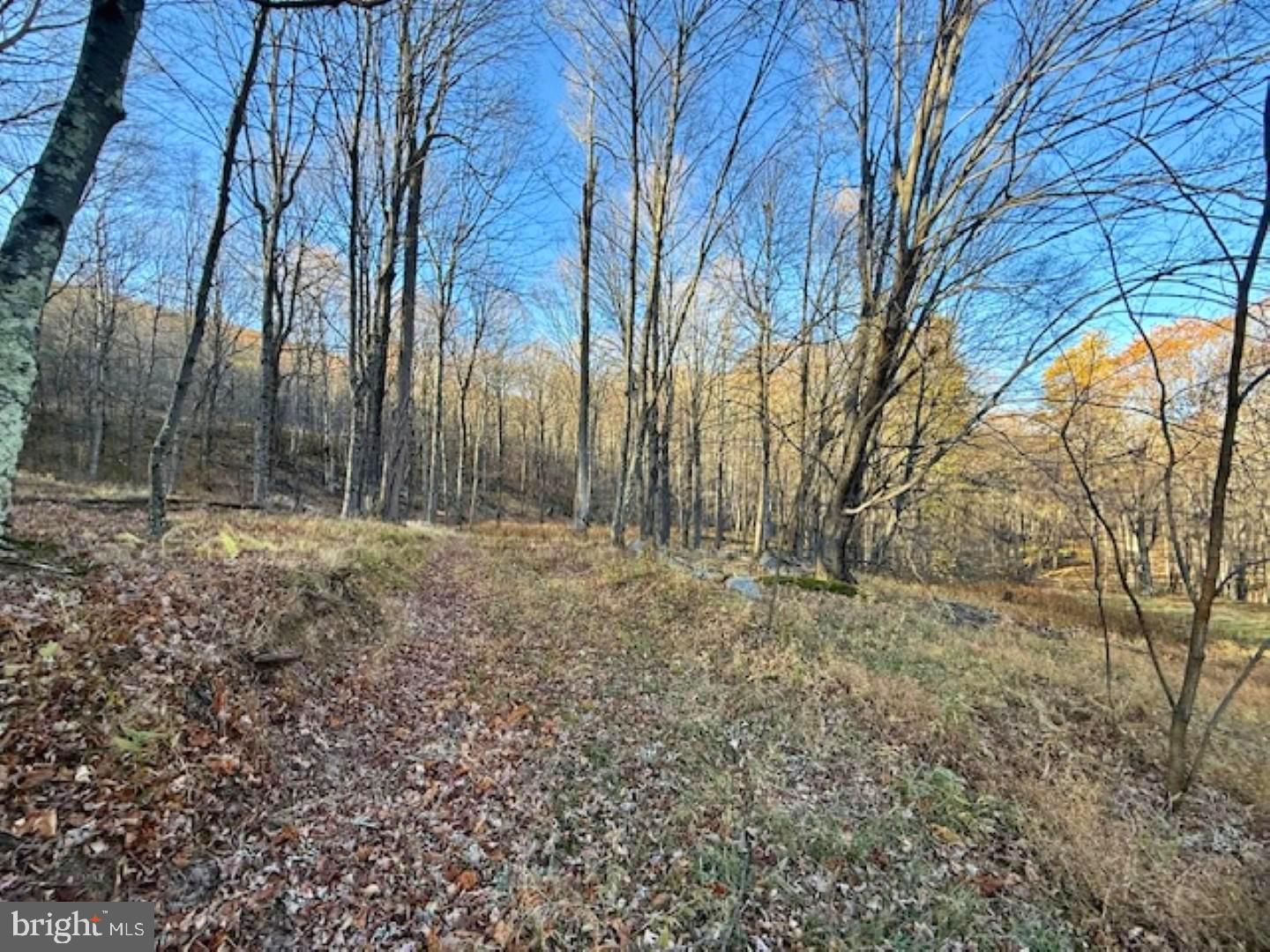 RETREAT AT DOLLY SODS - Land