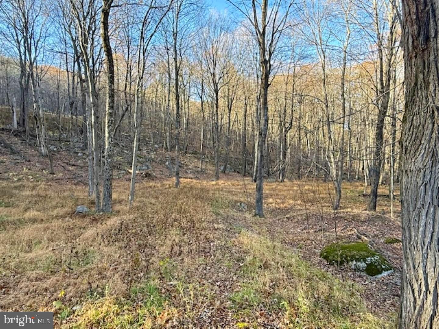 Just in time for opening day of buck season!! Call today to see Lot 38 with 2.5 acres of natural beauty ensconced in the Monongahela National Forest! Located just 2 miles from Bear Rocks Preserve and Dolly Sods trailheads, sits this picturesque land with tall mature trees, moss covered rocks and abundant wildlife. The property has an area that would be ideal for setting up camp or it could possibly be where you build that dream mountain escape, forever home or hunting cabin. Nature lovers and avid outdoorsmen will never tire of the endless recreational opportunities waiting right in the backyard. There is so much to do from nature watching, hunting, fishing, hiking, mountain biking and so on. You don't have to go far to enjoy even more of what Wild and Wonderful West Virginia has to offer. You can be trout fishing at Smoke Hole in a little less than 30 minutes and in less than 40 minutes you can hike Seneca Rocks or take your boat out at Mount Storm. When the snow falls, in about an hour you can enjoy skiing or tubing at Canaan Valley. There is something to do all year round!
