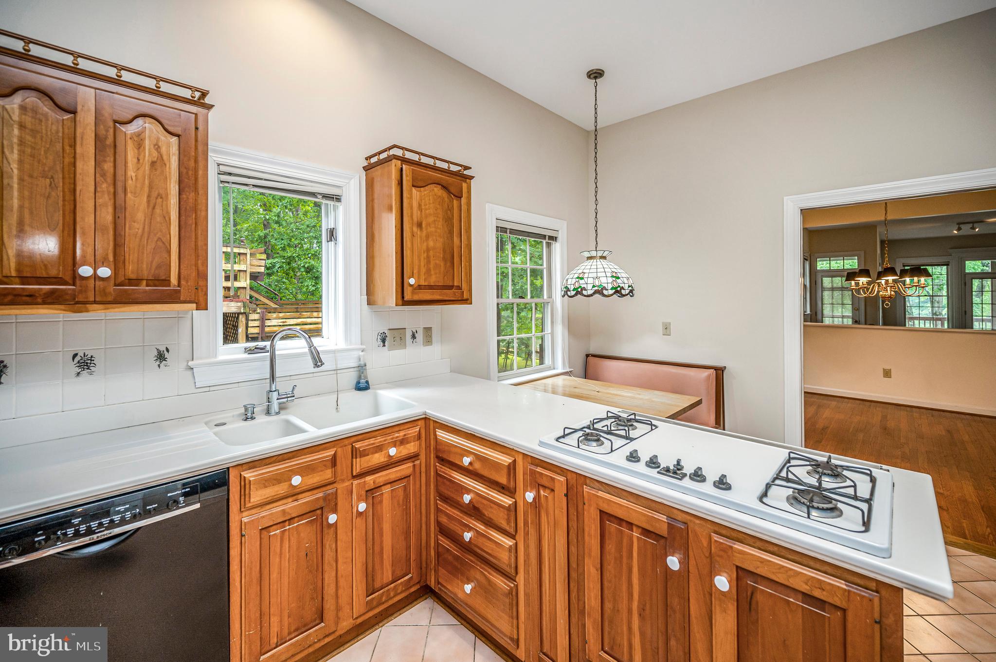LAKE OF THE WOODS - Residential