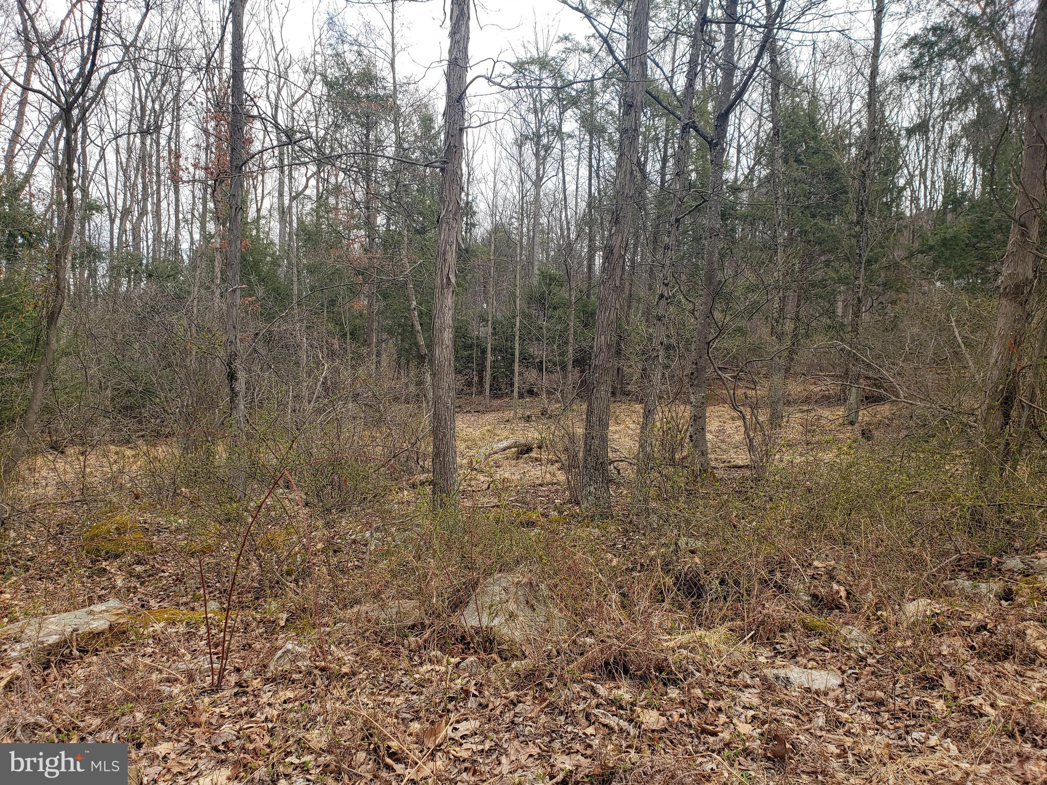 NOTE: THE SALE OF THIS PROPERTY WAS FROM ONE FAMILY MEMBER TO ANOTHER. This 2.48 acre rural wooded lot is perfect for your new home or get away cabin. Subdivision Plan and Perc Test are available in documents. Tax assessment and taxes will be determined following settlement. Current assessment and tax numbers are estimates only. Please make an appointment and must be accompanied by a Realtor. Properties are on a private lane. Call today!
