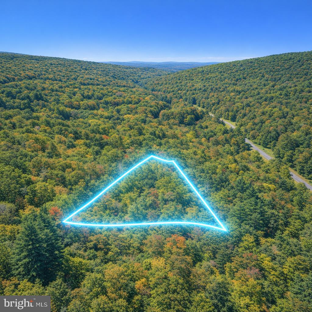 Escape to the mountains of Fort Valley with these wooded lots located in an outdoor enthusiast-friendly community featuring community fishing lakes, picnic areas, and close proximity to the George Washington National Forest for hiking, hunting, camping, and exploring the outdoors. Lots 168, 169, and 170 are all available for purchase, offering flexibility for buyers looking for one lot or the opportunity to own multiple adjoining parcels.