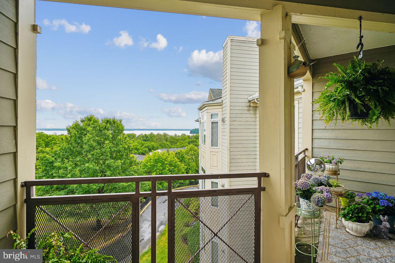 POTOMAC POINTE - Residential