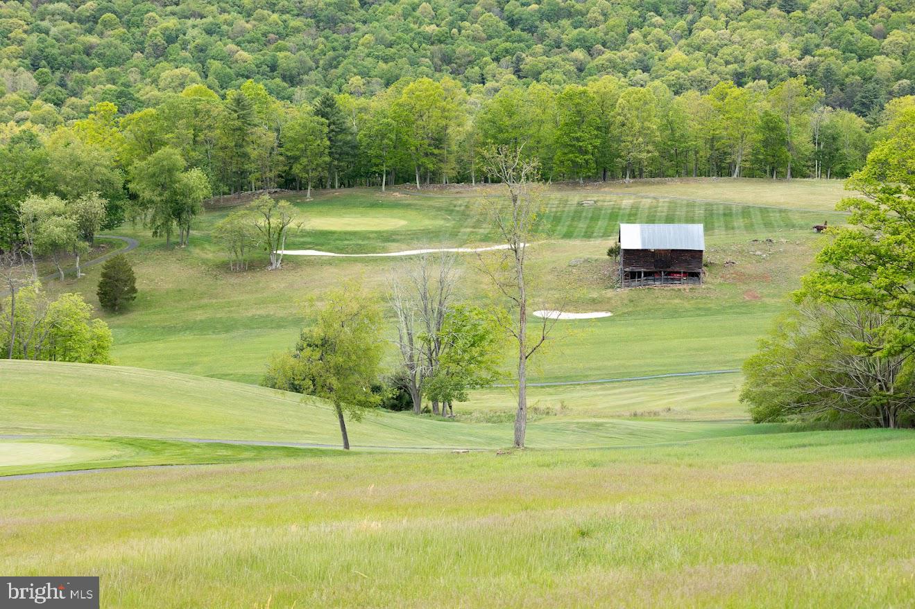 Lot #7 is a premium, 1.32 acre lot overlooking the Fairway and Hole #4 of the prestigious Fisher Mountain Golf Course just East of Franklin, West Virginia.  Located less than an hour from Harrisonburg, Virginia and three hours from NOVA, you have the opportunity to build your dream home within walking distance of the beautiful clubhouse and Ancient Oak Kitchen, and the technology enhanced TopTracer golf range.   But there is so much more!  You can live where the deer and the golf pros play, while enjoying pristine scenery or maybe you wish to invest in your future.  If you enjoy golf, property owners have  access to the award-winning 18-hole championship course designed by Bill Ward, which features dramatic elevation shifts, the second-highest slope rating in West Virginia, and a signature island green on Hole #10 resting in a 5-acre lake.  For investors, new luxury homes are currently on the market for 1.5 to 1.7 million as you drive to your new property.  And if you want more space, Lot 7 and Lot 5 can be purchased together.  Premium lots are not frequently available and this gentle sloping paradise is ready for you to bring your builder and start enjoying Wild, Wonderful, West Virginia.  Call today to schedule a viewing!