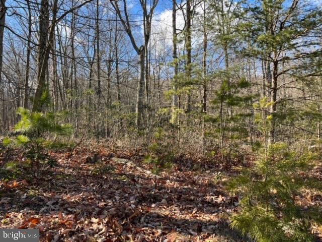 Beautiful  wooded lot , just under 2 acres, is  situated in Richmond Hills.  *Historic "Cowan's Gap State Park" is at the end of Richmond Road, approximately 3 miles from this lot. The lot perked in 1991.....new perk test will be required.  Recorded "Private Right-OF-Way" exists between Lot 43 and Lot 49 (11017) Richmond Rd). See "Private Right-OF-Way" document attached with Exhibit.  

*Historic info included in Documents.
