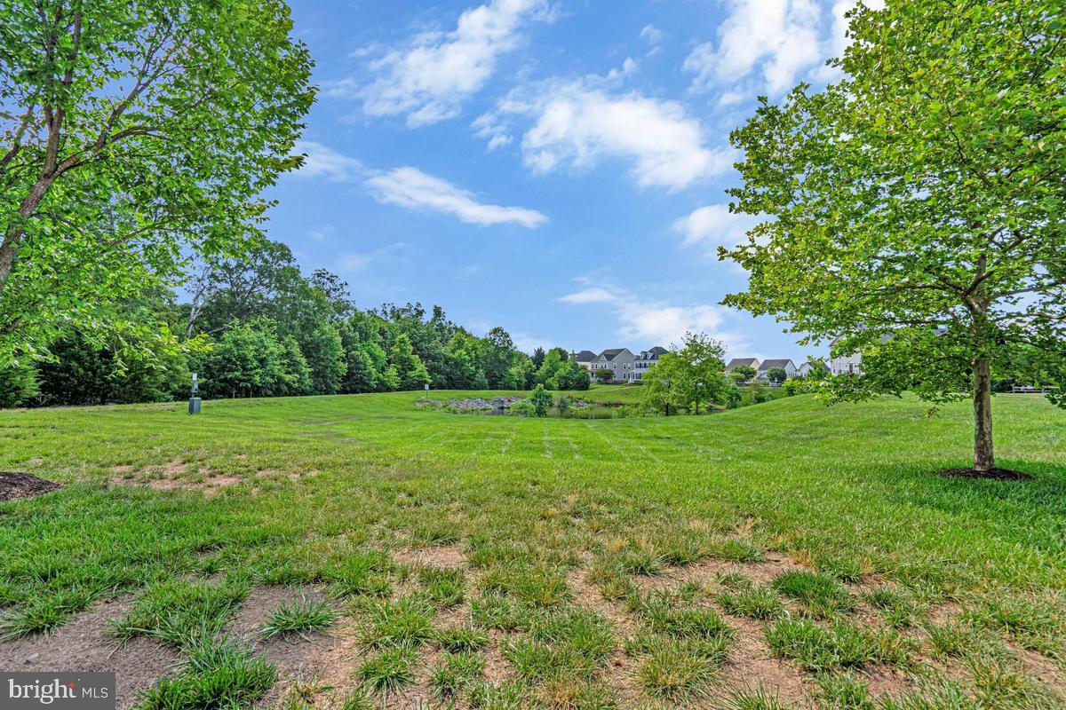 NEW BRISTOW VILLAGE - Residential
