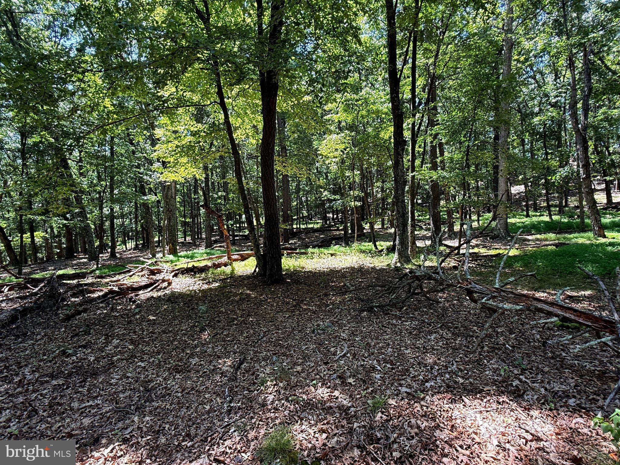 SOUTH FORK MT - Land