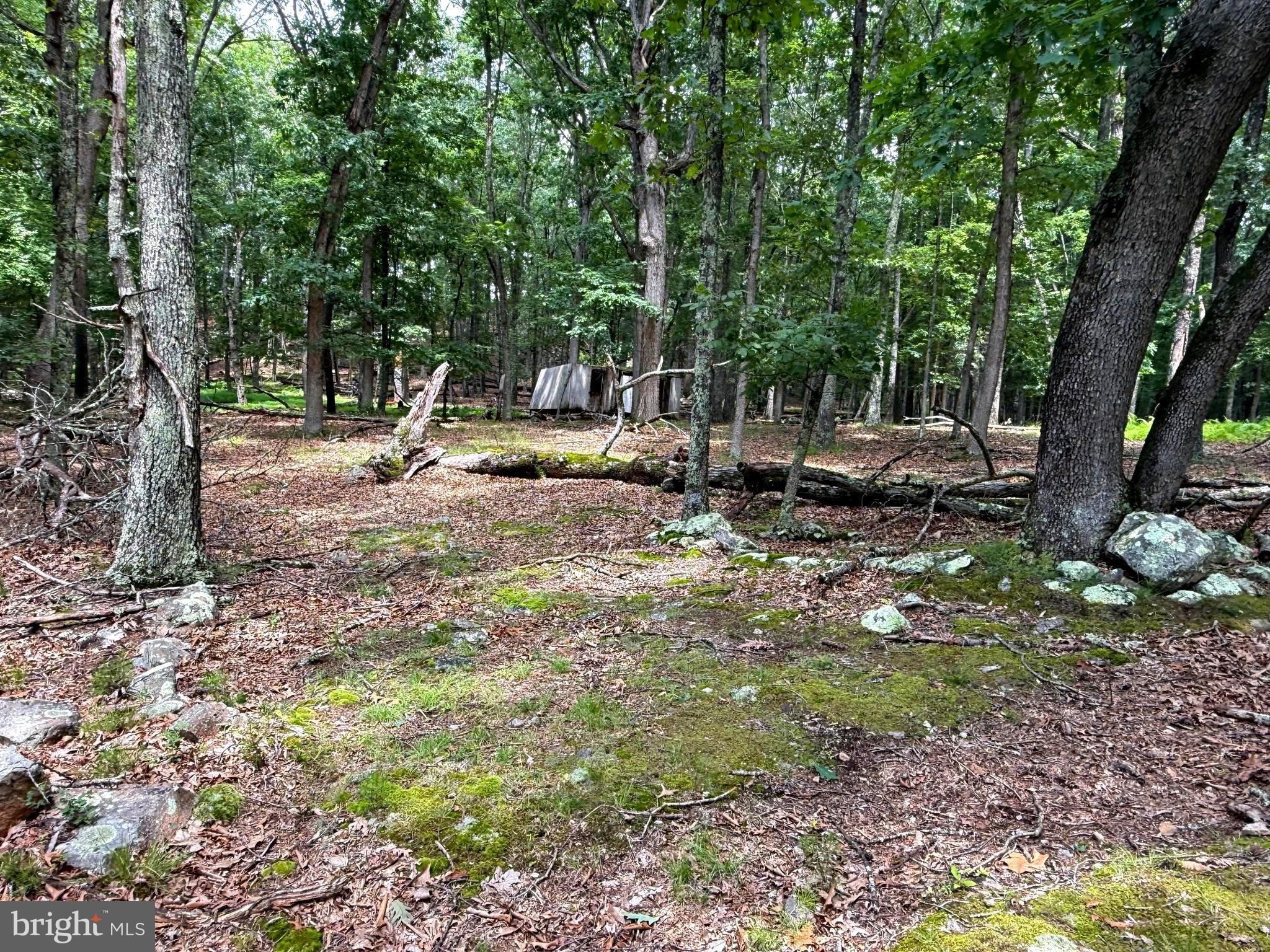 SOUTH FORK MT - Land