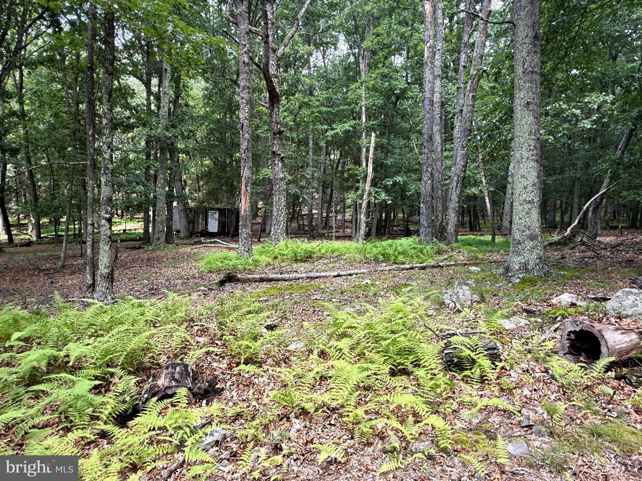 SOUTH FORK MT - Land