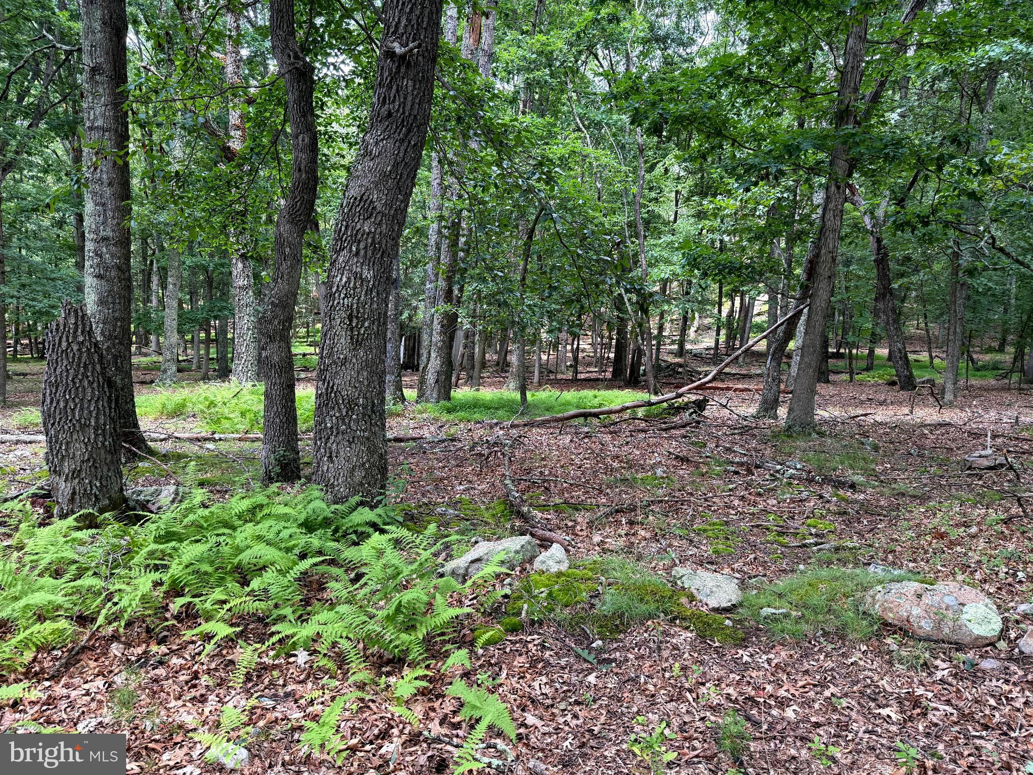 Escape the noise and embrace the tranquility of the mountains with this exceptional 13.5± acre offering consisting of two adjoining parcels in beautiful Pendleton County, West Virginia. Whether you’re dreaming of building a secluded cabin, creating the ultimate hunting retreat, or simply investing in your own slice of nature, this property offers endless possibilities.

A large, relative level area provides an ideal location for your future getaway, while mature hardwood timber creates a picturesque setting with privacy and natural beauty. Electric service is nearby, making future development more convenient, and the grass-covered development roads offer access while maintaining the peaceful, park-like atmosphere.

Nature lovers and outdoor enthusiasts will appreciate the abundant wildlife frequently seen throughout the property, making it an excellent choice for hunting, hiking, photography, or simply unwinding in the great outdoors. With minimal covenants, you’ll enjoy the flexibility to bring your vision to life.

Located just a short drive from South Mill Creek Lake, you’ll have easy access to fishing, kayaking, hiking, and year-round recreation while still enjoying the serenity of your own mountain retreat.

If you’ve been searching for a place to disconnect from the hustle and bustle and reconnect with nature, this Pendleton County property is ready to make that dream a reality. Schedule your private tour today!  Property is located behind a locked gate-No drivebys.