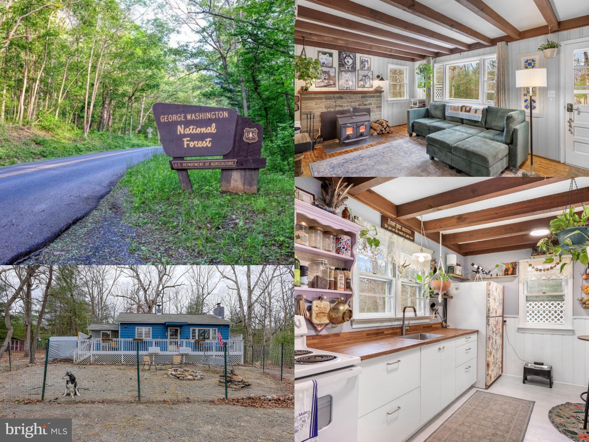 Amazing Price Adjustment for this gorgeous cottage Just outside of George Washington National Forest in Shenandoah County, this private 2 bedroom, 1 bath mountain retreat sits on just over 3 acres of peaceful natural beauty. Surrounded by mature trees and wildlife this Fort Valley property offers a true escape into nature in what is often described as a valley within a valley. Wild blueberries grow all over and there’s even a serene creek that runs along the back of the property adding to the peaceful and relaxing setting. 

This cottage style home has been thoughtfully restored to blend cozy cabin character with modern comfort. Renovations include a new roof with new roof trusses, new fascias and gutters, updated electrical with a new panel box, and electric baseboard heating with individual thermostats conveniently installed in every room. The interior features fresh paint, refinished original pine flooring, and a beautifully updated kitchen with new cabinetry, countertops, vinyl flooring, lighting, and appliances. The bathroom has also been fully renovated with updated fixtures and finishes. New water lines, a pressure pump, a distribution box, sewer lines, and a recently pumped and cleaned septic tank provide efficient and reliable water and waste systems for years to come. A large wood burning stove with new chimney liner  in the living room creates the perfect warm and welcoming mountain atmosphere.

The property is currently home to goats, chickens, ducks and dogs. Fencing, chicken coops, greenhouse and run-in shed are already in place which makes this an ideal opportunity for anyone with animals or those dreaming of a small homestead or hobby farm. The land offers flat, usable space along with wooded surroundings for privacy and outdoor enjoyment.

This location is an outdoor enthusiast’s dream for permanent or weekend adventures. Nearby you will find miles of scenic trails for hiking and biking, along with opportunities to kayak the Shenandoah River or relax along Passage Creek. The screened porch and large front porch provide peaceful spaces to unwind and take in the sounds of nature. 

Whether you are searching for a full time residence, a weekend mountain getaway, or a potential short term rental investment (furnished negotiable), this home offers flexibility and appeal. The setting, character, and tranquility create a truly special retreat in the Massanutten Mountains. Welcome Home!