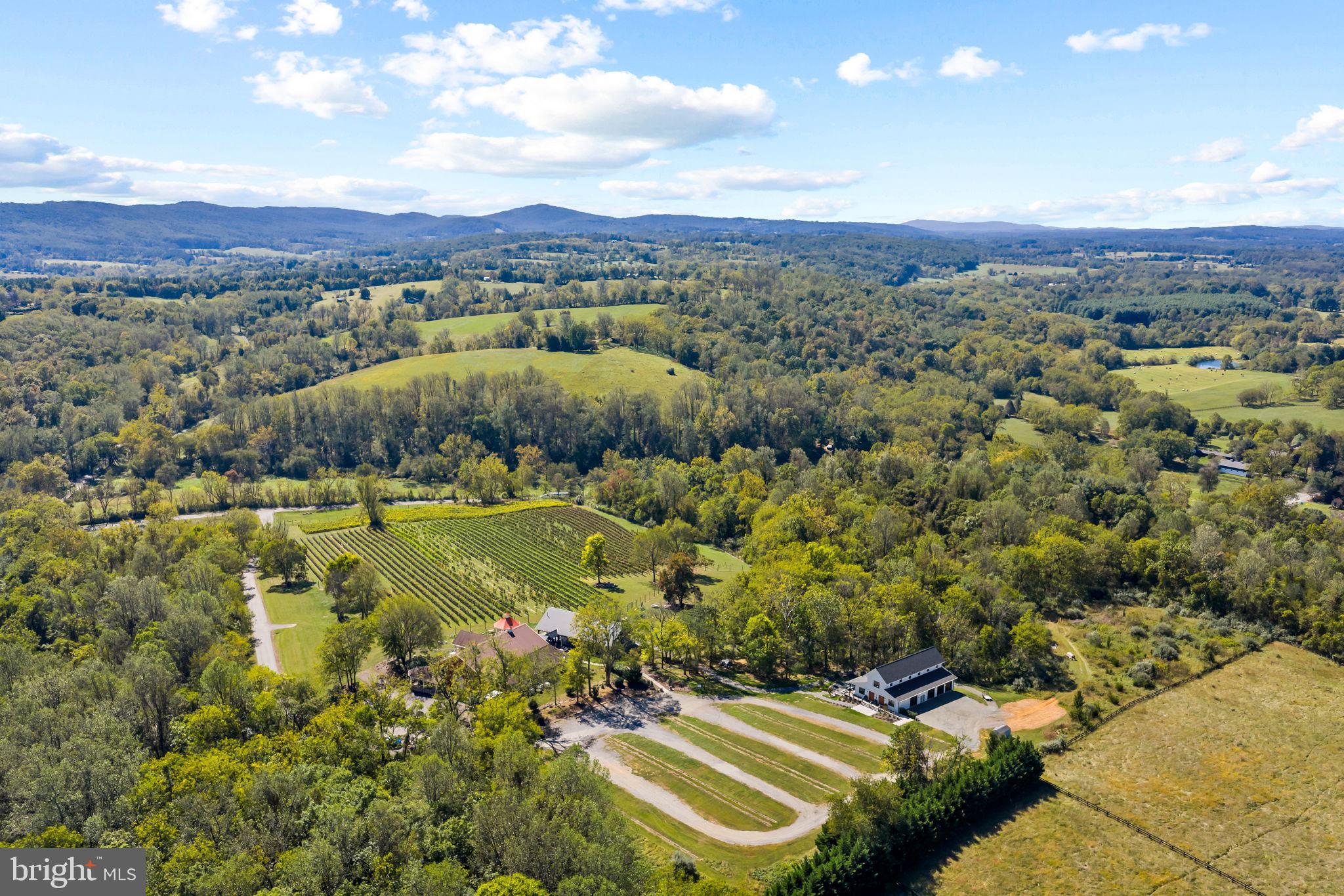 The opportunity of a lifetime has come to fall in love with and become the owner Cana Vineyards and Winery and Black Oak Cafe. Cana sits on 43+ picturesque acres with 8 acres under vine in Middleburg, VA. The offering includes all property,  equipment and inventory. Black Oak Cafe opened in 2025, open on weekends to serve up dreamy gelato, pizza and espresso drinks. Cana has been a consistent winner of regional and international wine awards..190+ Awards..Virginia Winery of the Year..Loudoun County Winery of the Year..Winemaker of the Year..Virginia Governor’s Cup..Virginia Governor’s Case Gold..Best in Class, 7 Double Gold, 45 Gold, and 123 Silver Medals. The winery is open Thursday-Monday, Black Oak Cafe is open for the season on Saturdays and Sundays and weddings and other private events can be held every day. Reach out today to schedule a private tour!