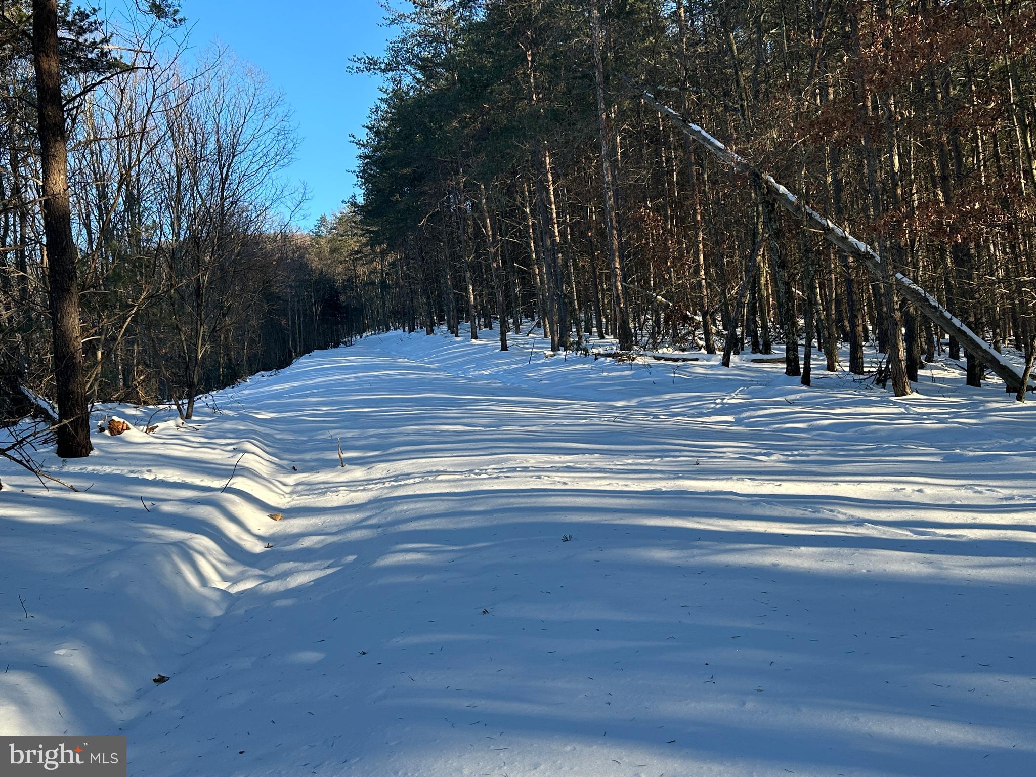 ASHTON WOODS - Land