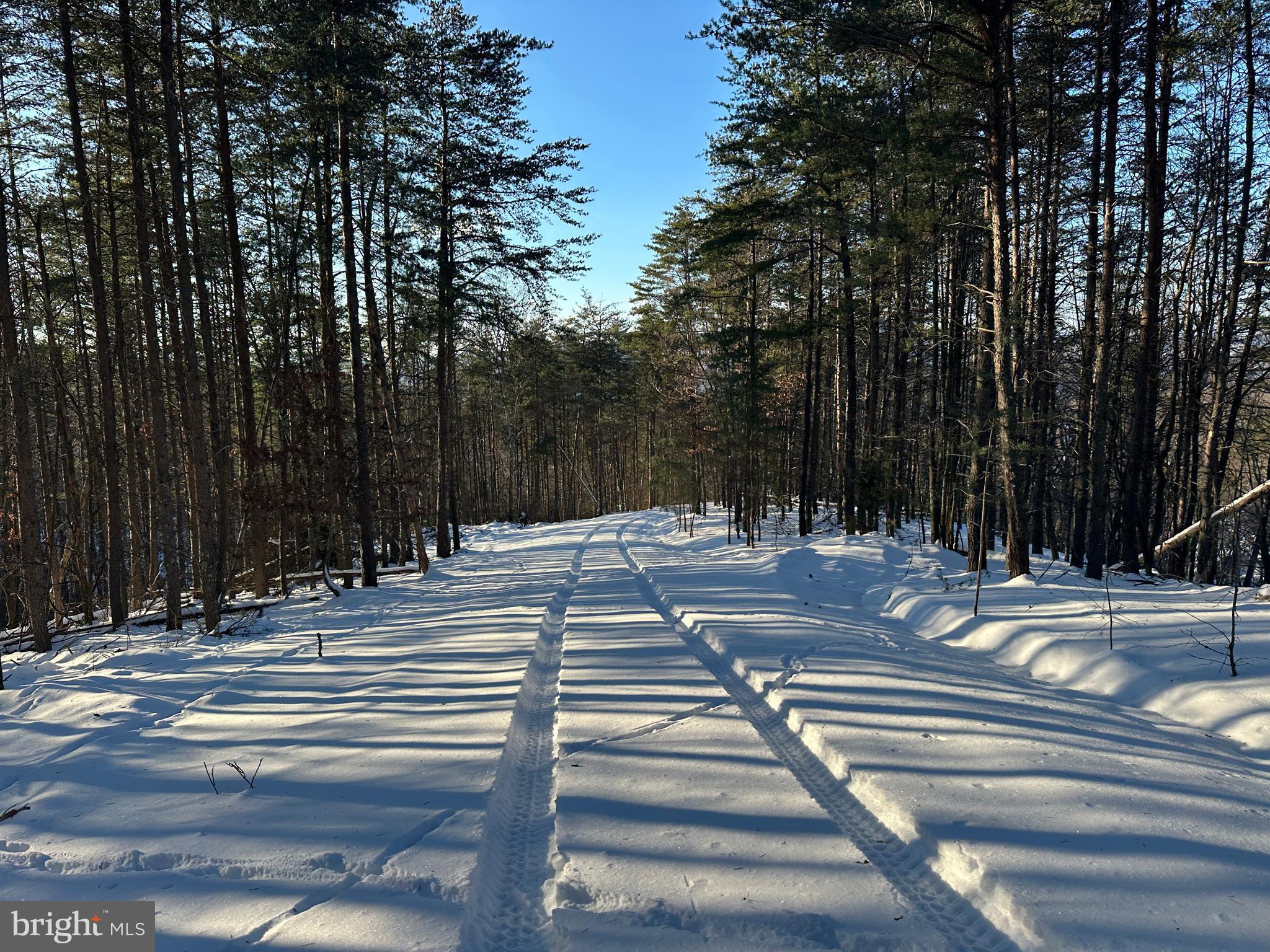 ASHTON WOODS - Land
