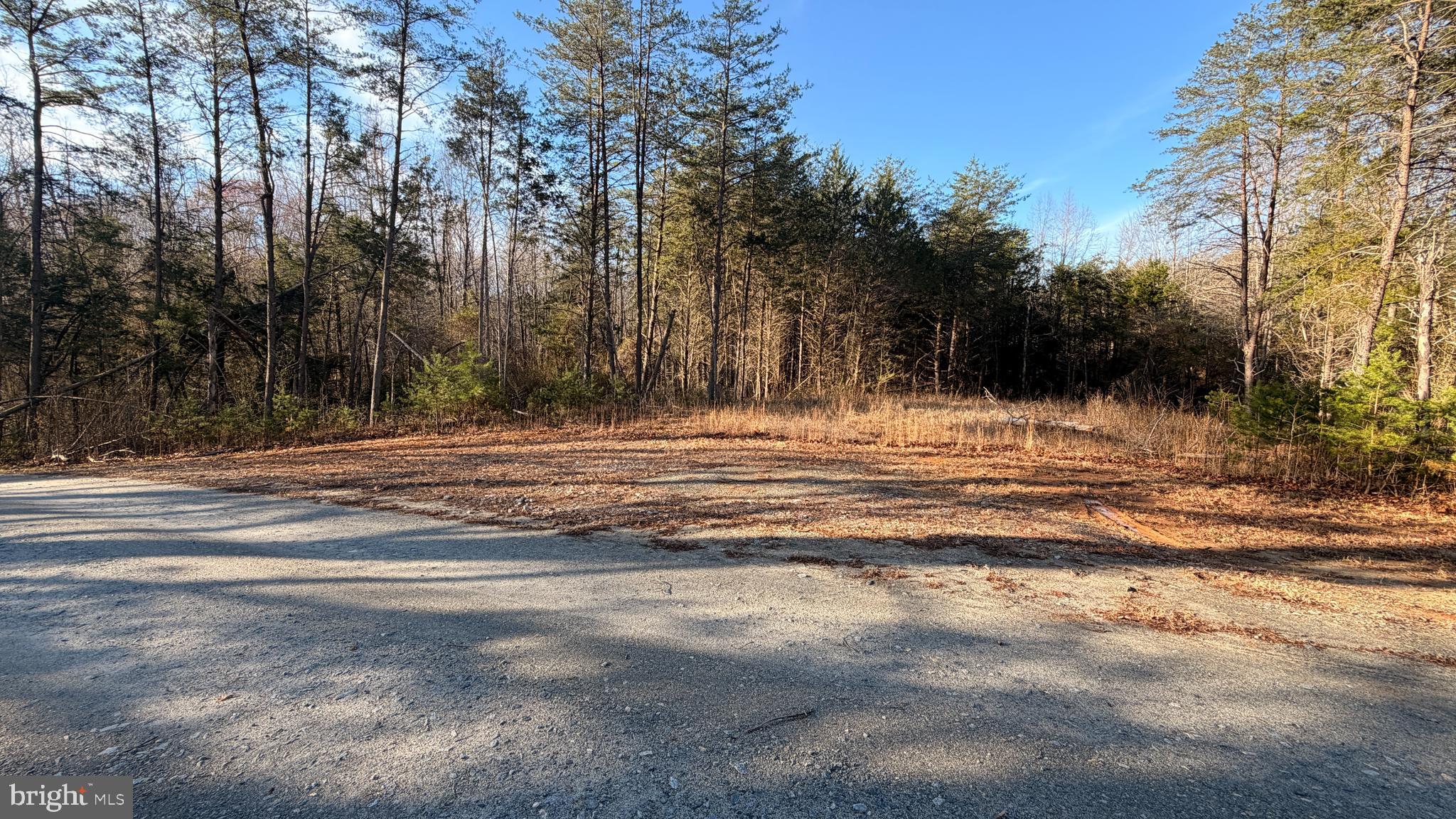 Discover the perfect blend of privacy and convenience with this beautiful 10.69-acre fully wooded property. Tucked away in a serene natural setting, this expansive parcel offers an ideal opportunity to build your dream home, weekend retreat, or investment property.

The groundwork has already been started for you—this lot is equipped with a conventional septic system  with a prior health permit already issued, saving you valuable time and upfront costs. Modern essentials are also in place, including Comcast high-speed internet and underground power, making it easy to stay connected while enjoying the tranquility of nature.

Whether you're seeking a peaceful escape or a future homesite surrounded by mature trees and abundant wildlife, this property delivers both seclusion and accessibility. Don’t miss your chance to own a sizable, ready-to-build wooded tract with key infrastructure already established.