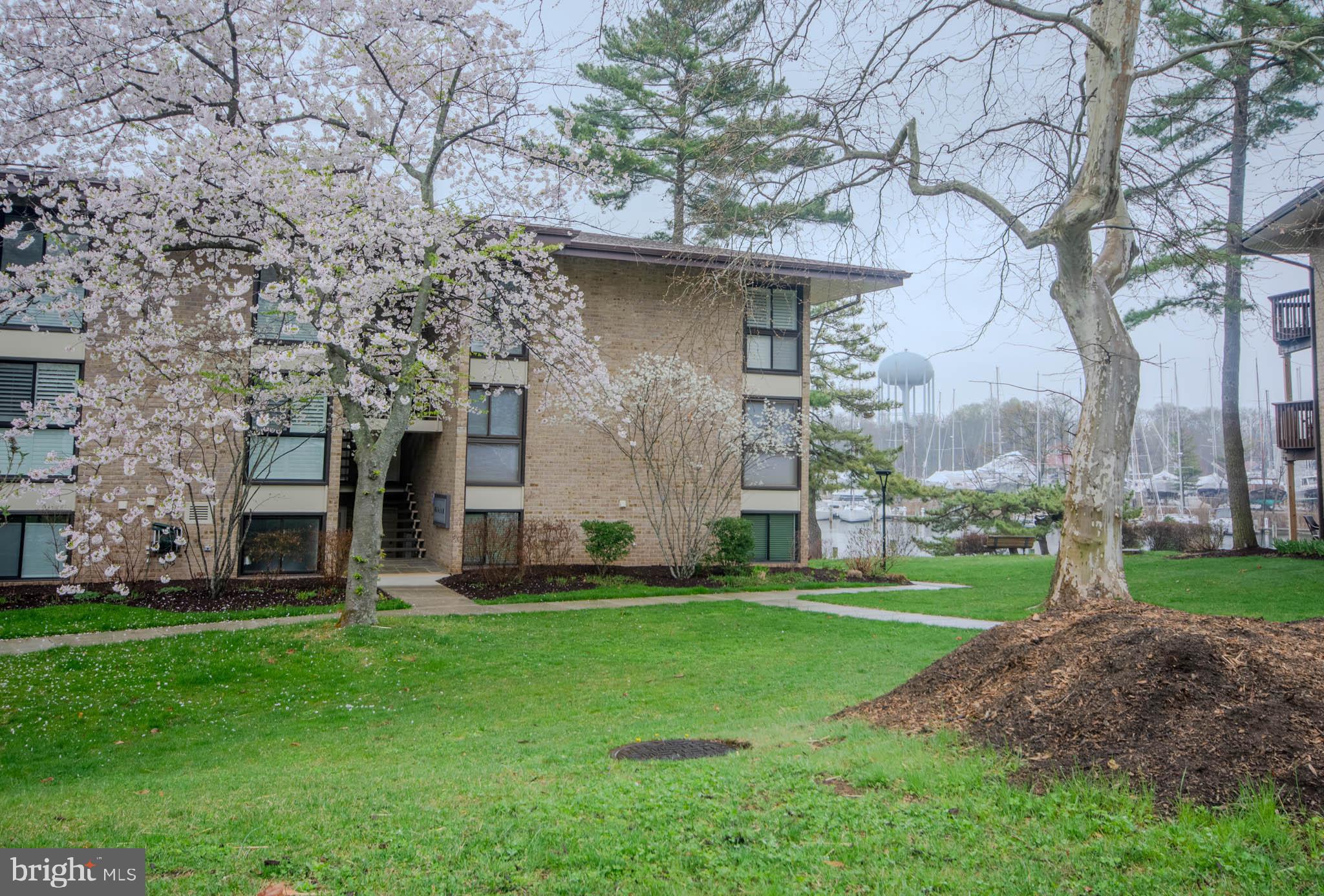 SEVERN HOUSE - Residential Lease