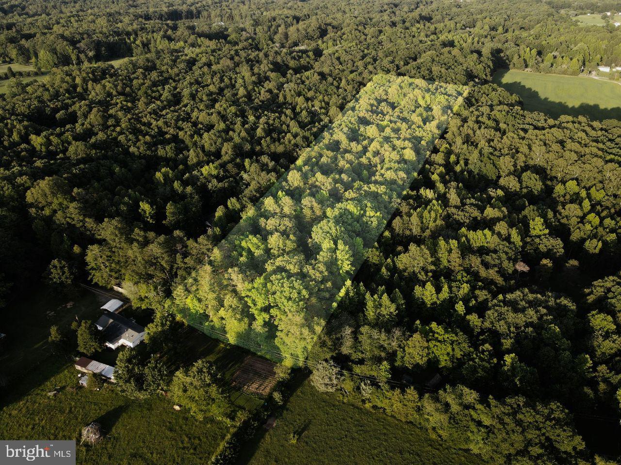Bring your builder to this beautiful 5 acre lot in Bumpass. Enjoy the peace and quiet while being very close to Lake Anna's boat marinas and restaurants.  You're already a step ahead with soil work advising of a 3 bedroom conventional septic system.
