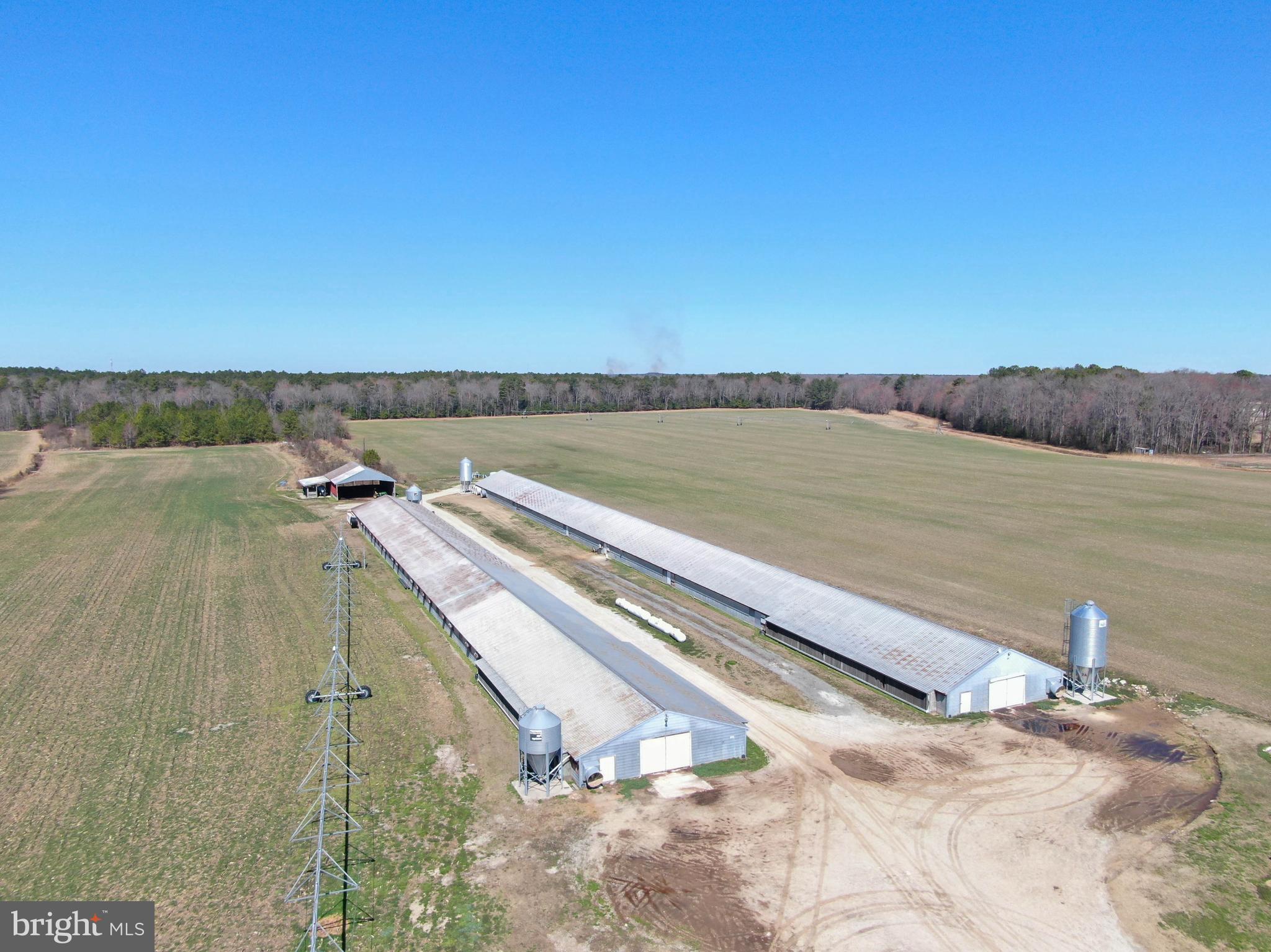 NONE AVAILABLE - Farm
