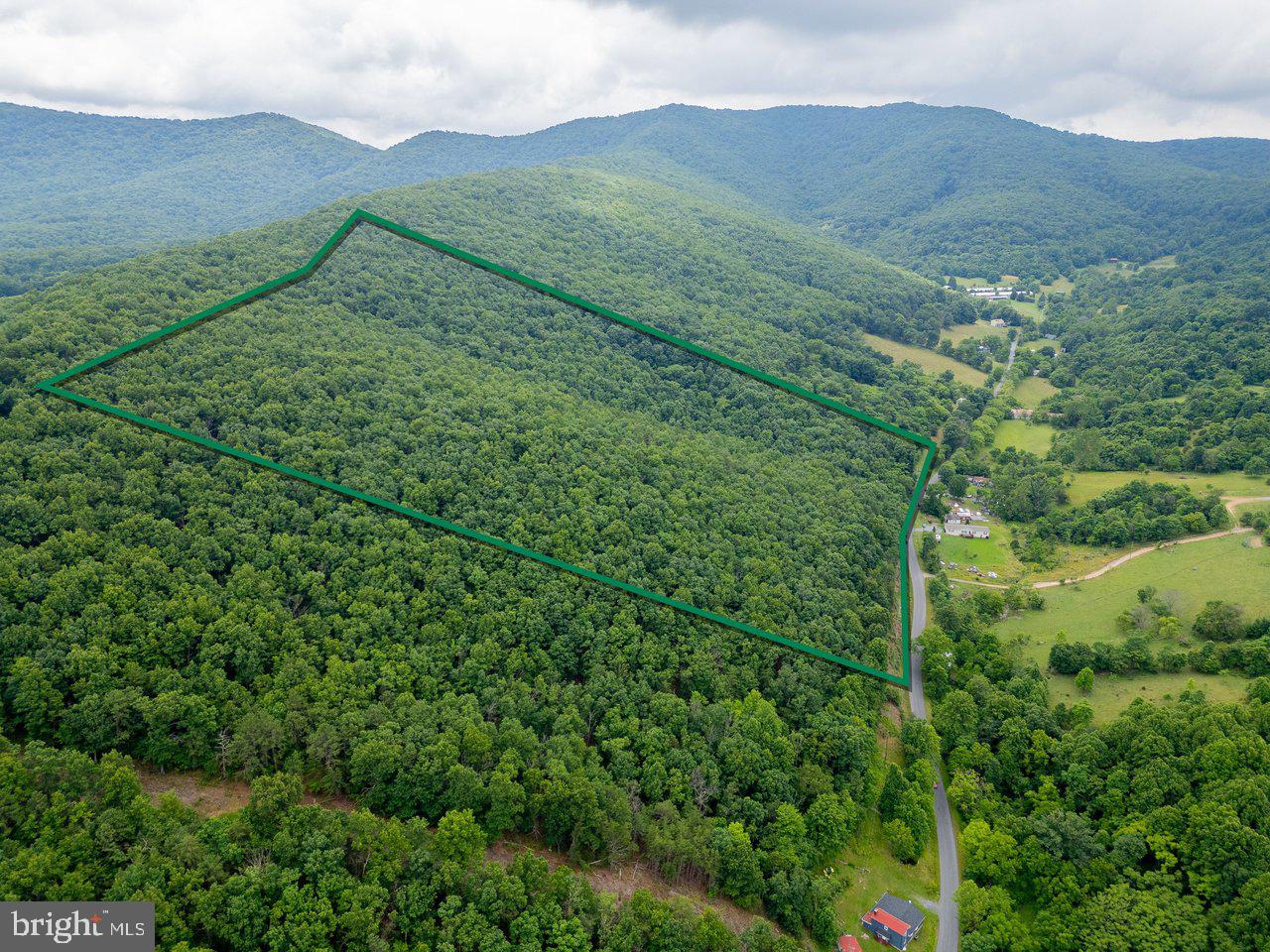 40 plus ACRES!!  Perfect for hunting, recreation or a future home private wooded home site!  There is a natural spring on the property and  beautiful flat views at the top of the property.  Seller is willing to give a credit towards a driveway installation.
