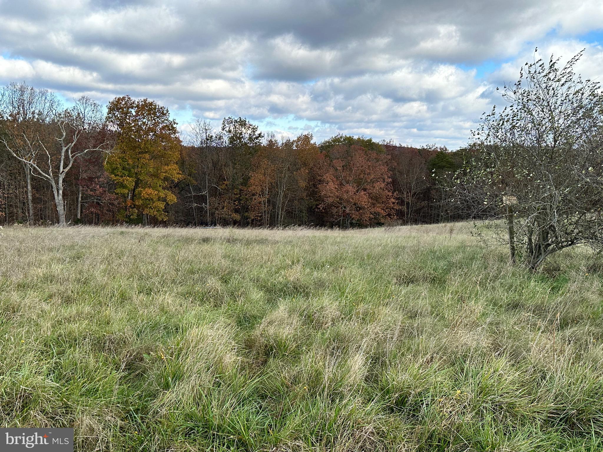 LOOKING FOR THE PERFECT BUILDING SITE?  NICE LEVEL BUILDING LOT CENTRALLY LOCATED BETWEEN KEYSER AND FORT ASHBY.  WELL ESTABLISHED SUBDIVISION. WONDERFUL MOUNTAIN AND PASTORIAL VISTAS CONVEY! SENSIBLE  COVENANTS TO PROTECT YOUR INVESTMENT. YEAR ROUND MAINTAINED ROADS. PUBLIC WATER WILL BE AVAILABLE SOON.  ROAD FRONTAGE ON 2 ROADS. GENTLY SLOPED TO LEVEL LOT. SEVERAL BUILDING SITES TO CHOOSE FROM. PRIVACY FOLLAGE IN REAR OF LOT.