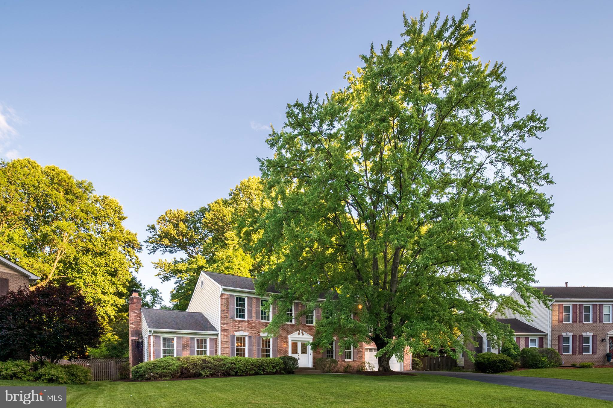 COLLINGTON CLUSTER - Residential