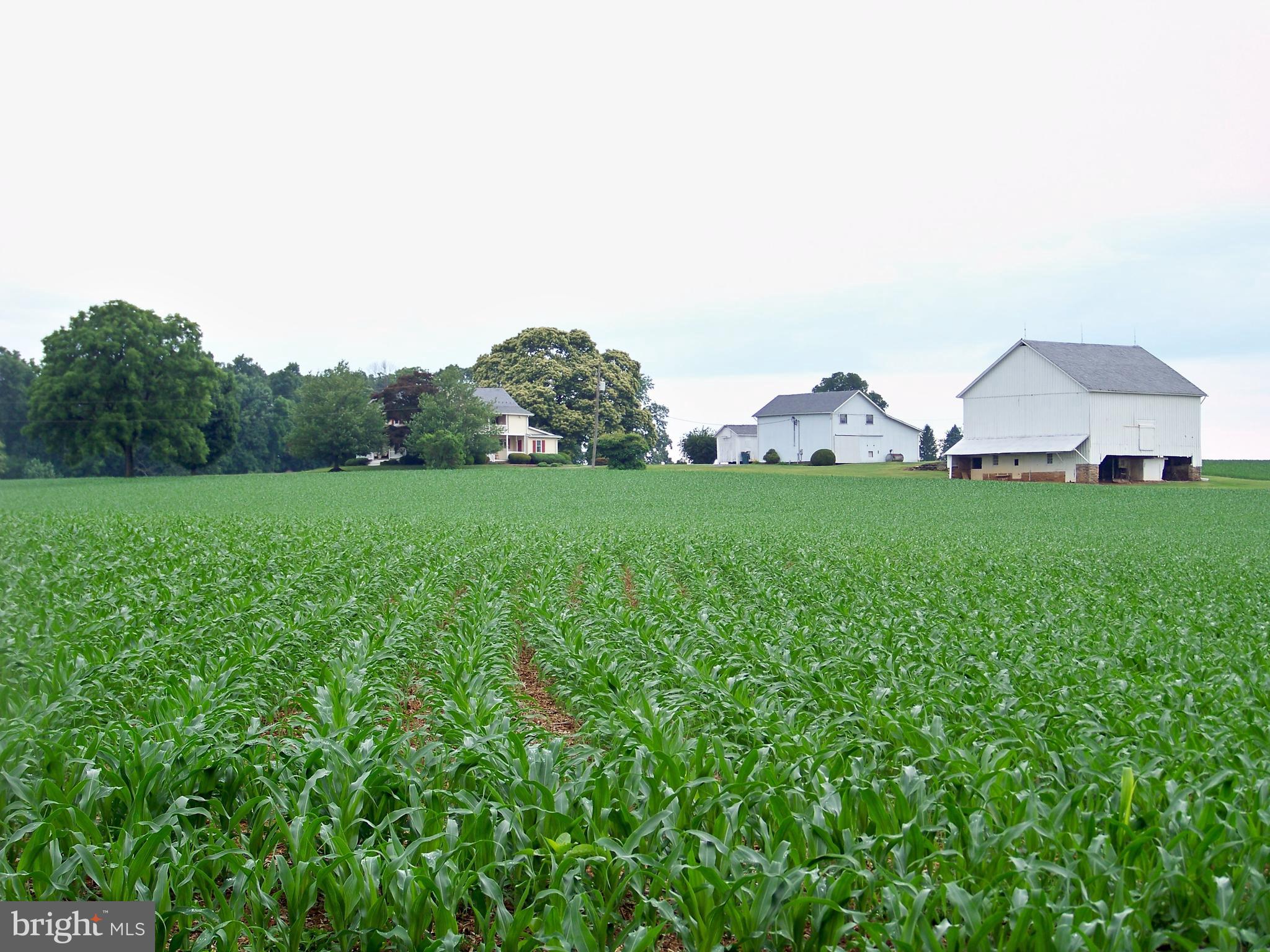 DRUMORE TWP - Farm