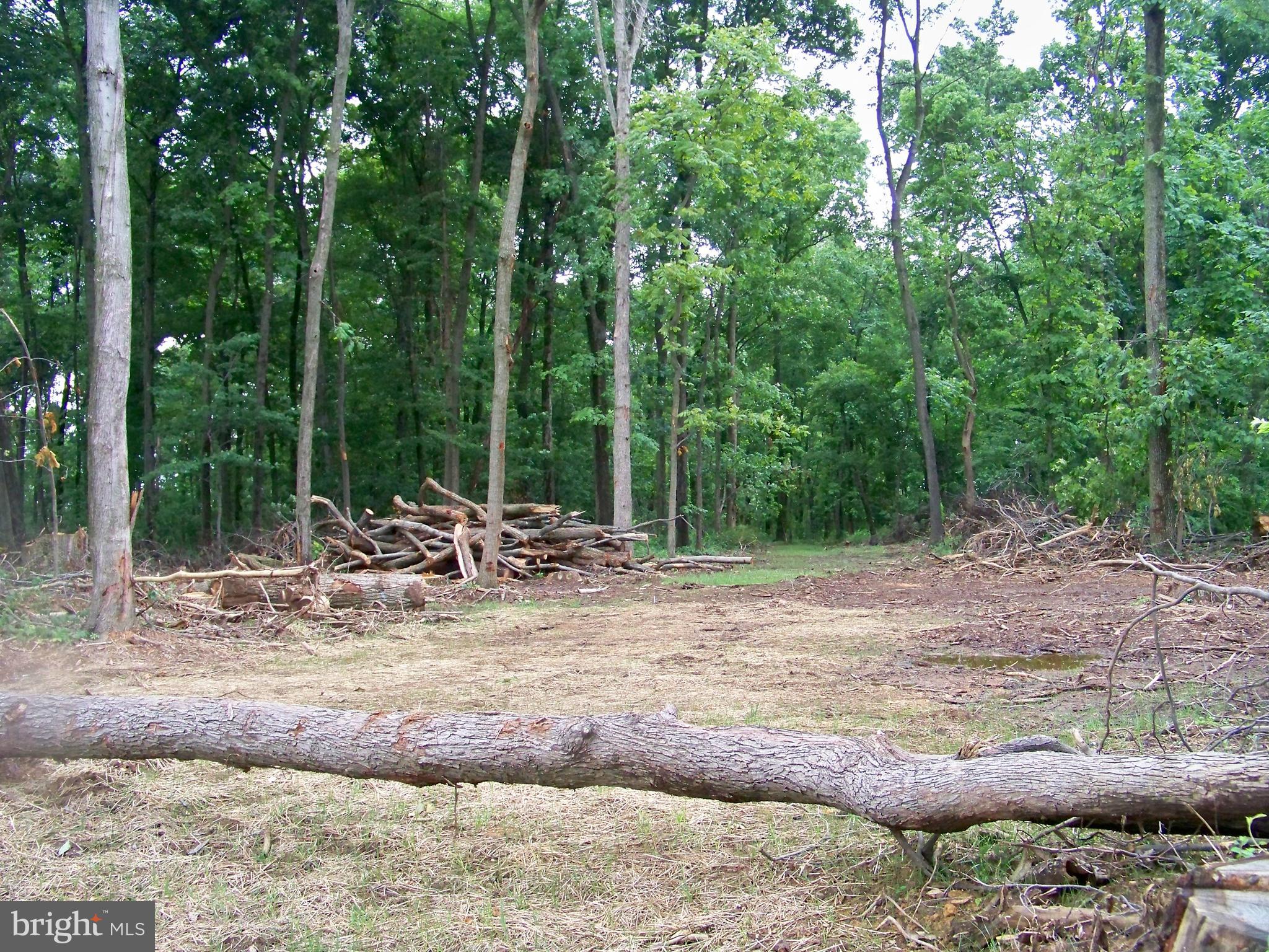 DRUMORE TWP - Farm
