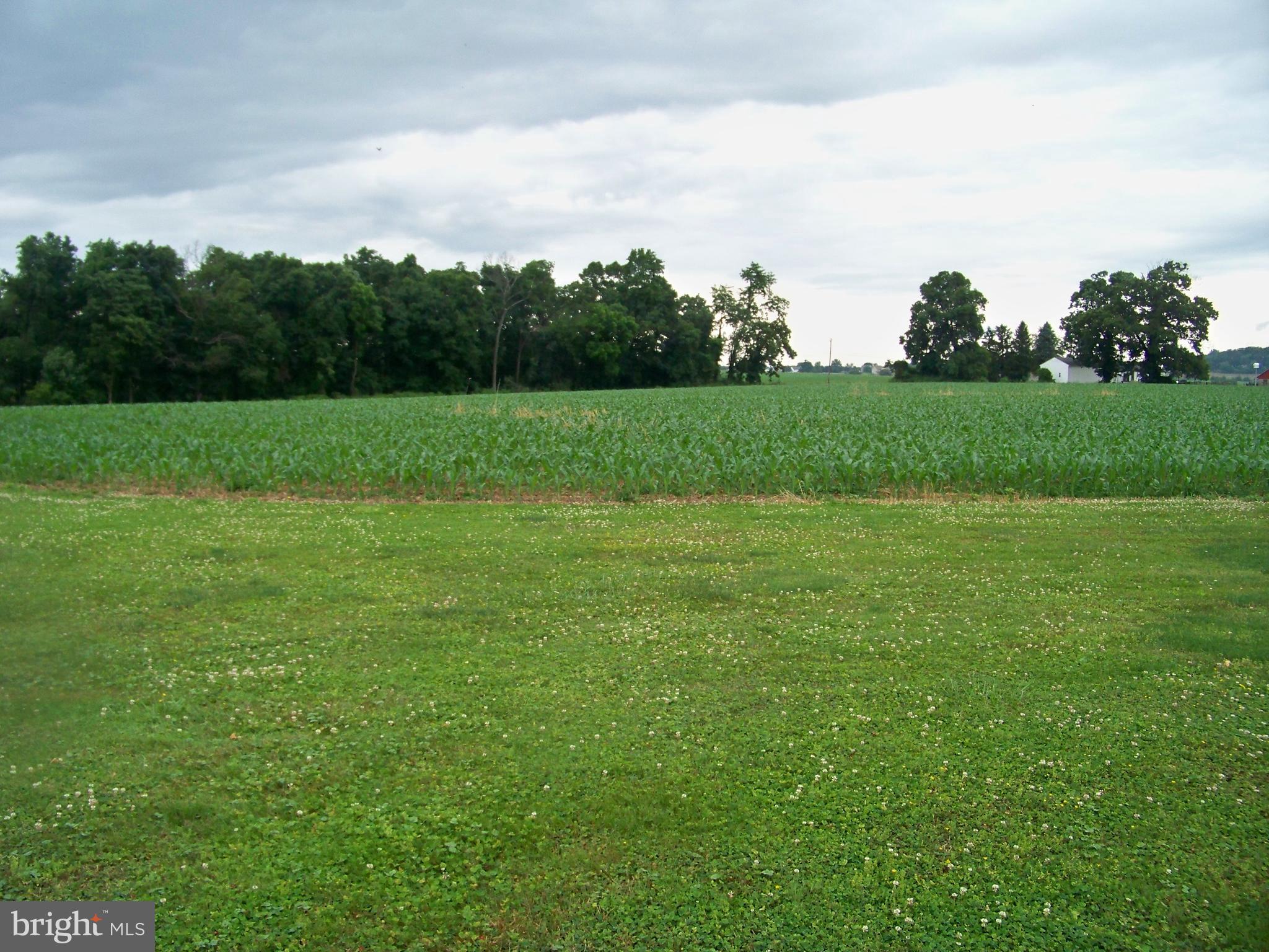 DRUMORE TWP - Farm