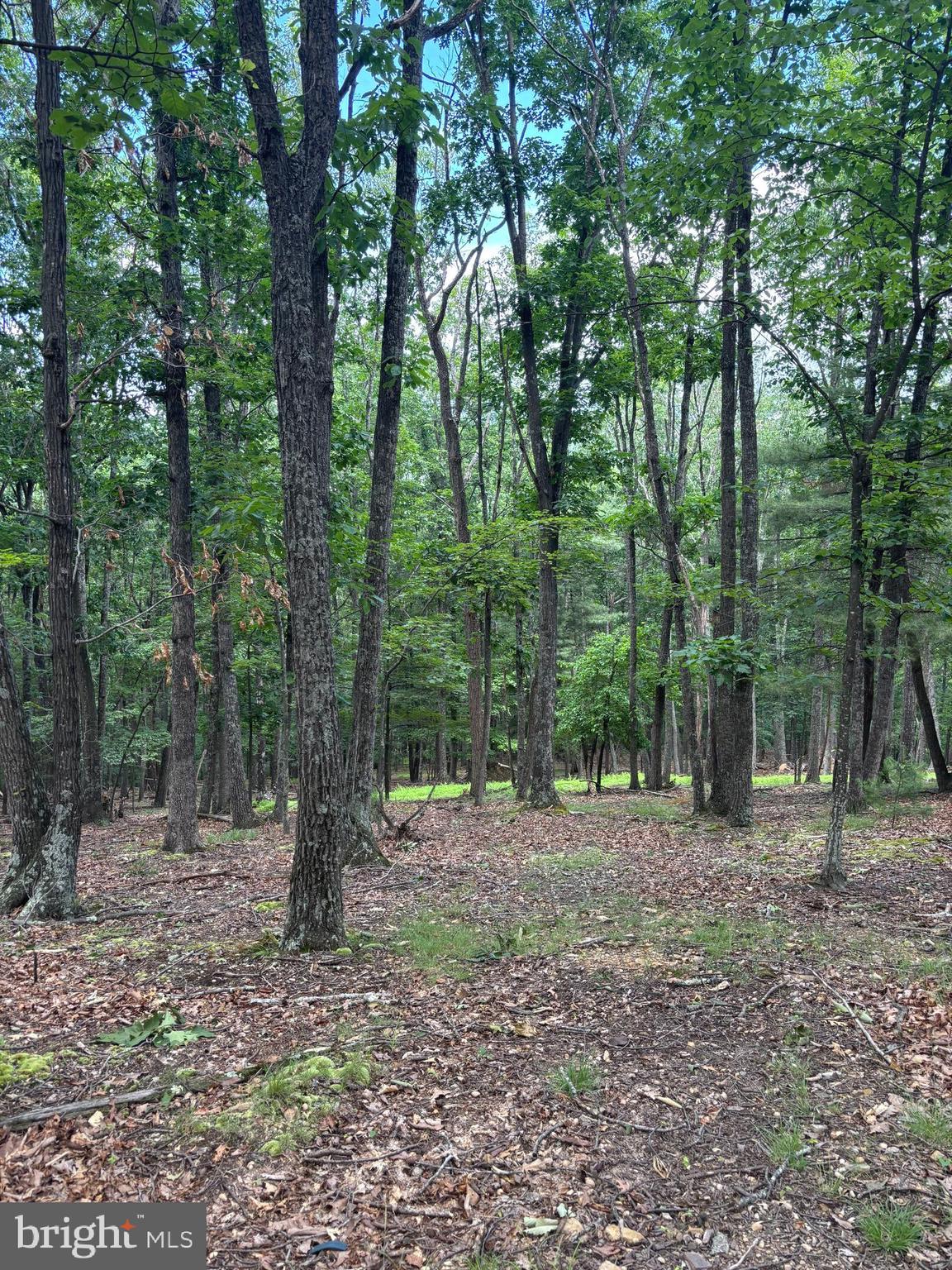 CEDARWOOD - Residential