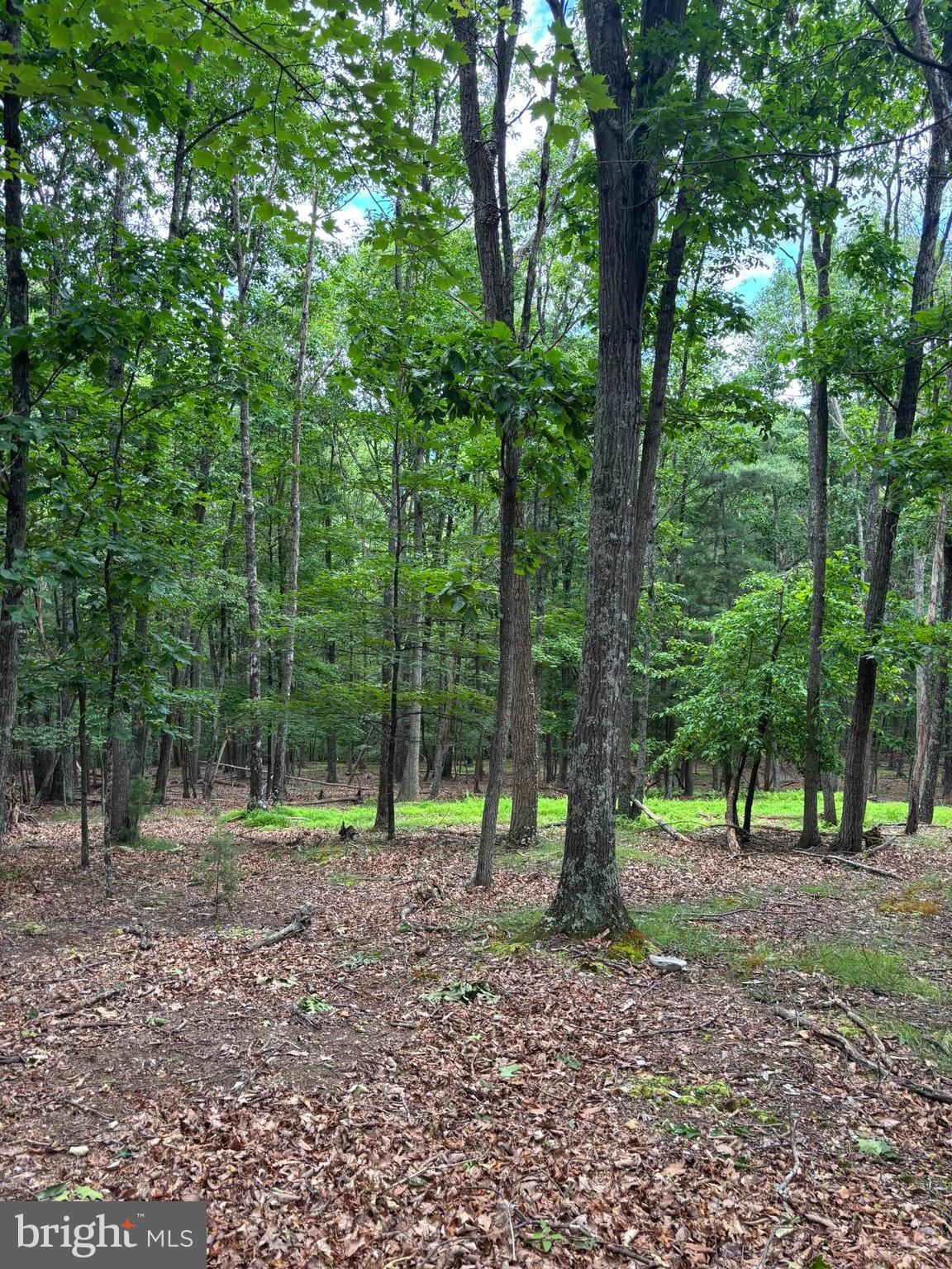 CEDARWOOD - Residential