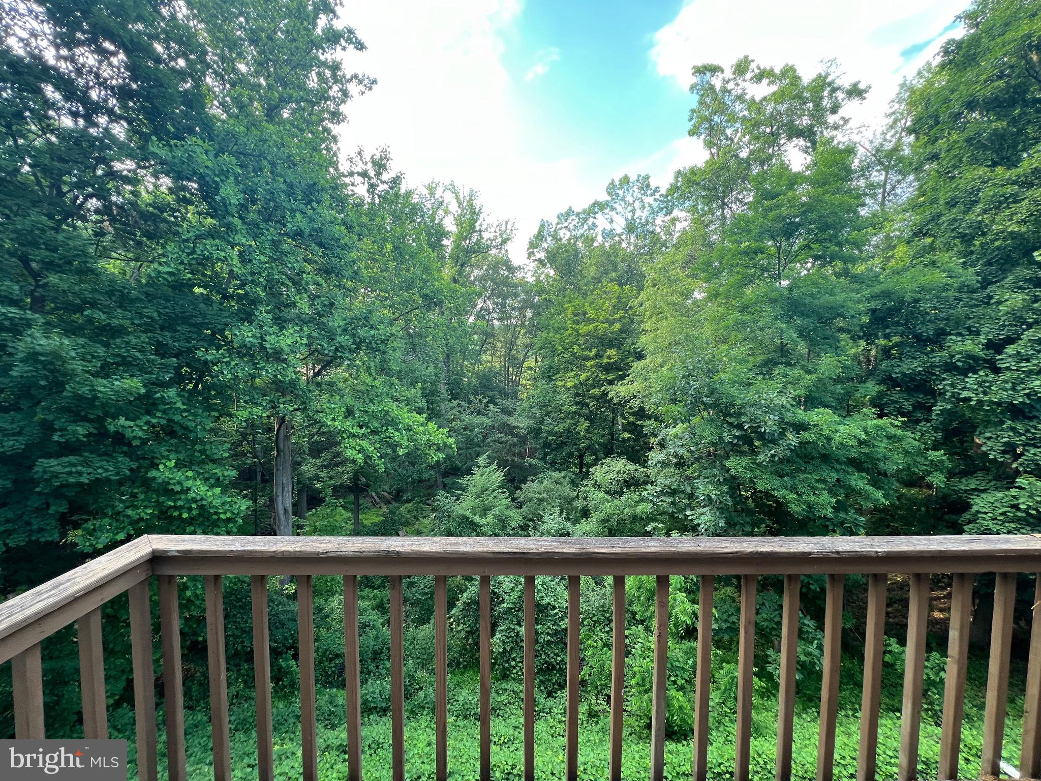 MIFFLIN WOODS - Residential