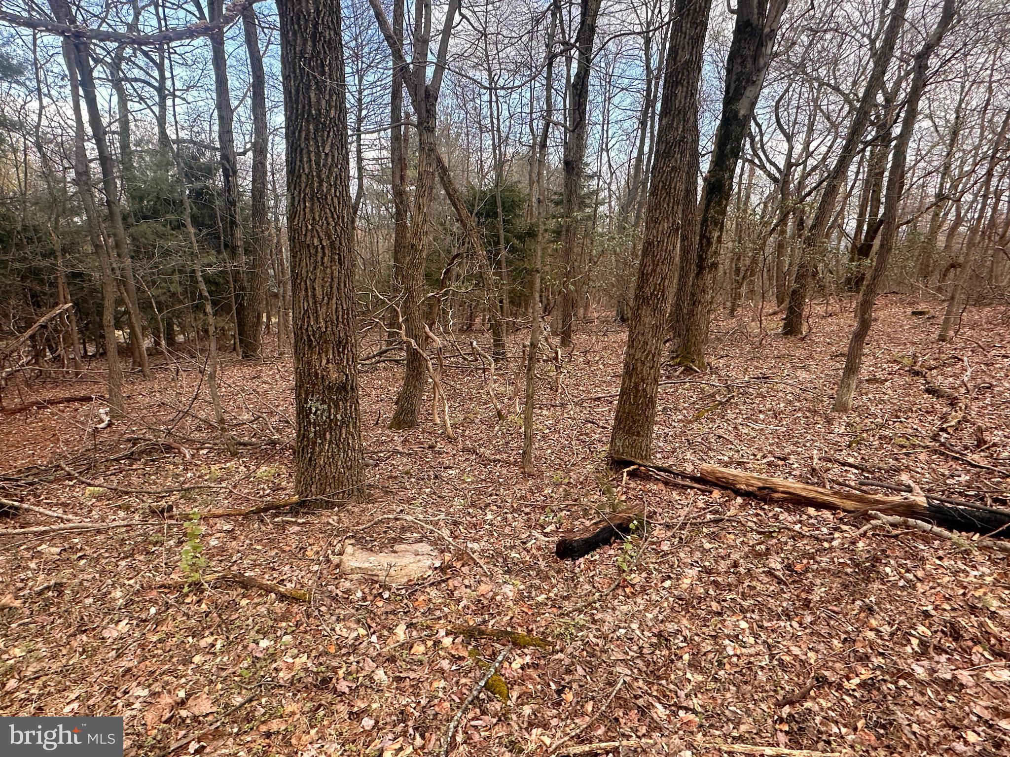 TUSCARORA HEIGHTS - Residential
