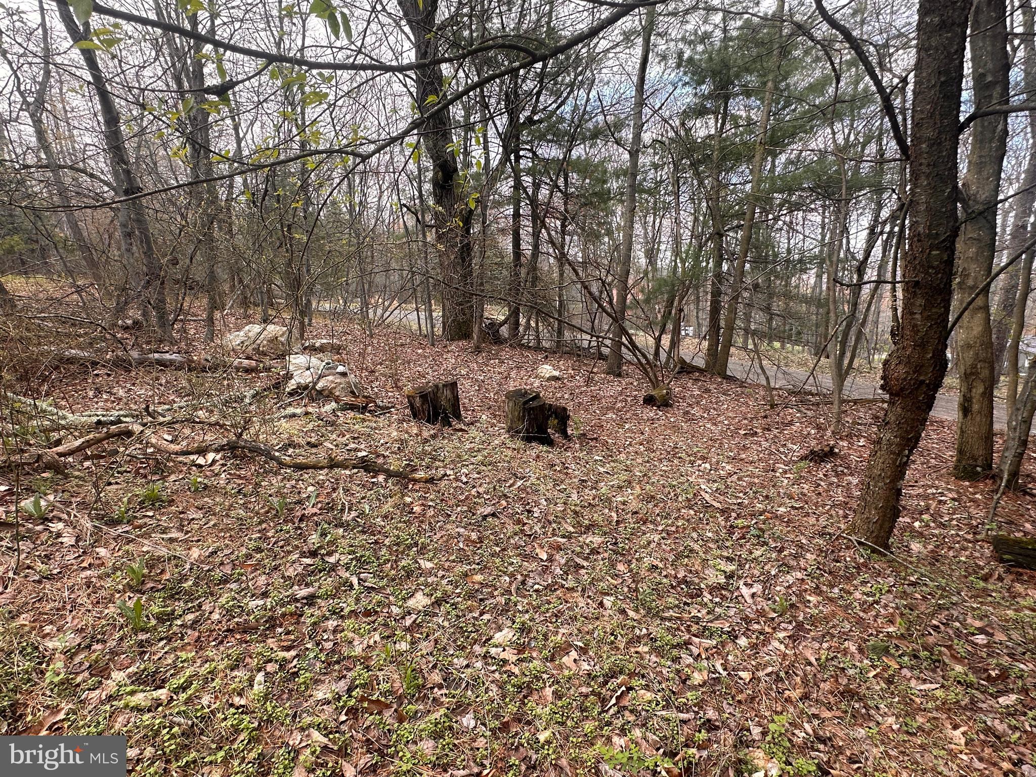 TUSCARORA HEIGHTS - Residential