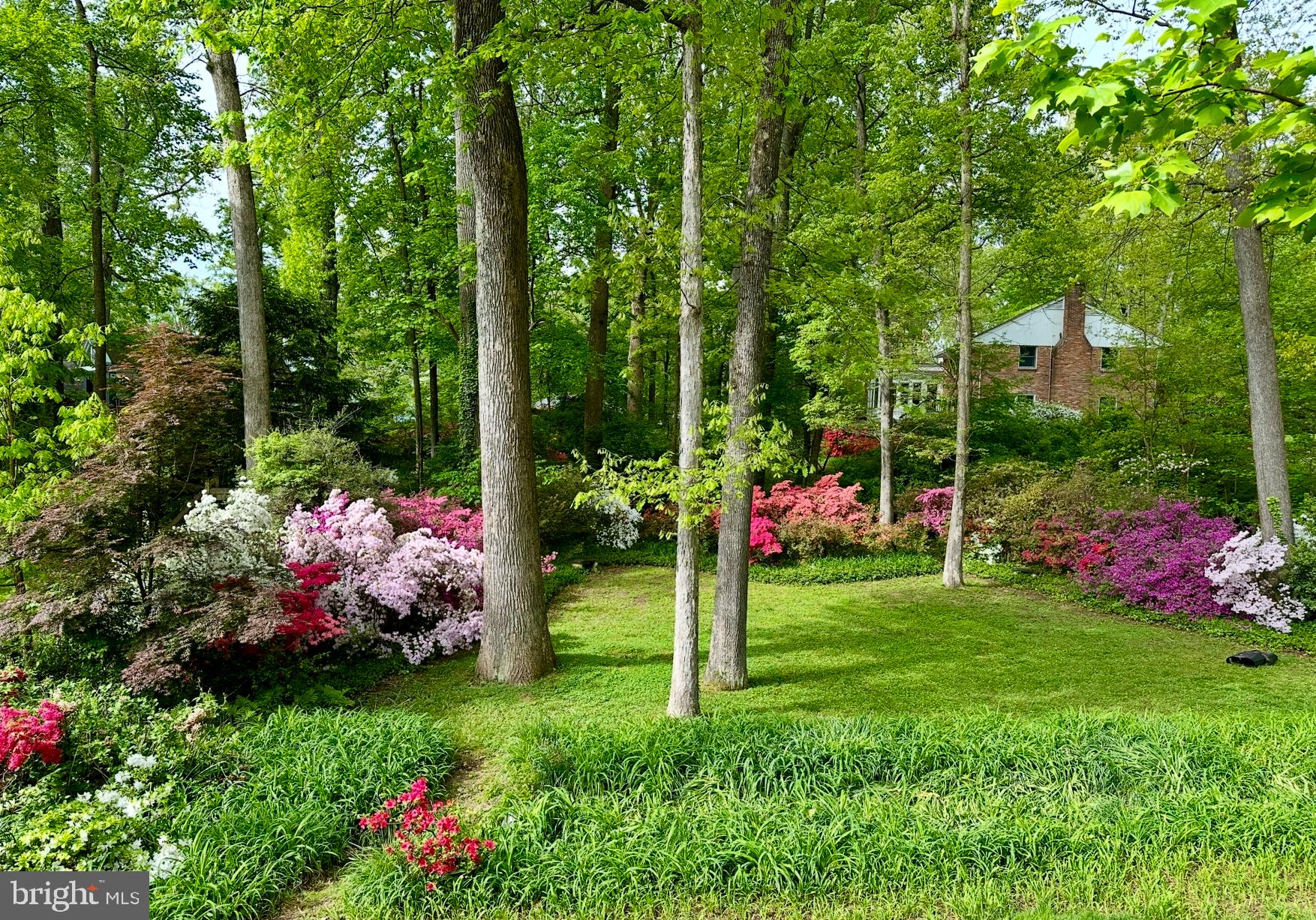 BARCROFT LAKE SHORES - Residential