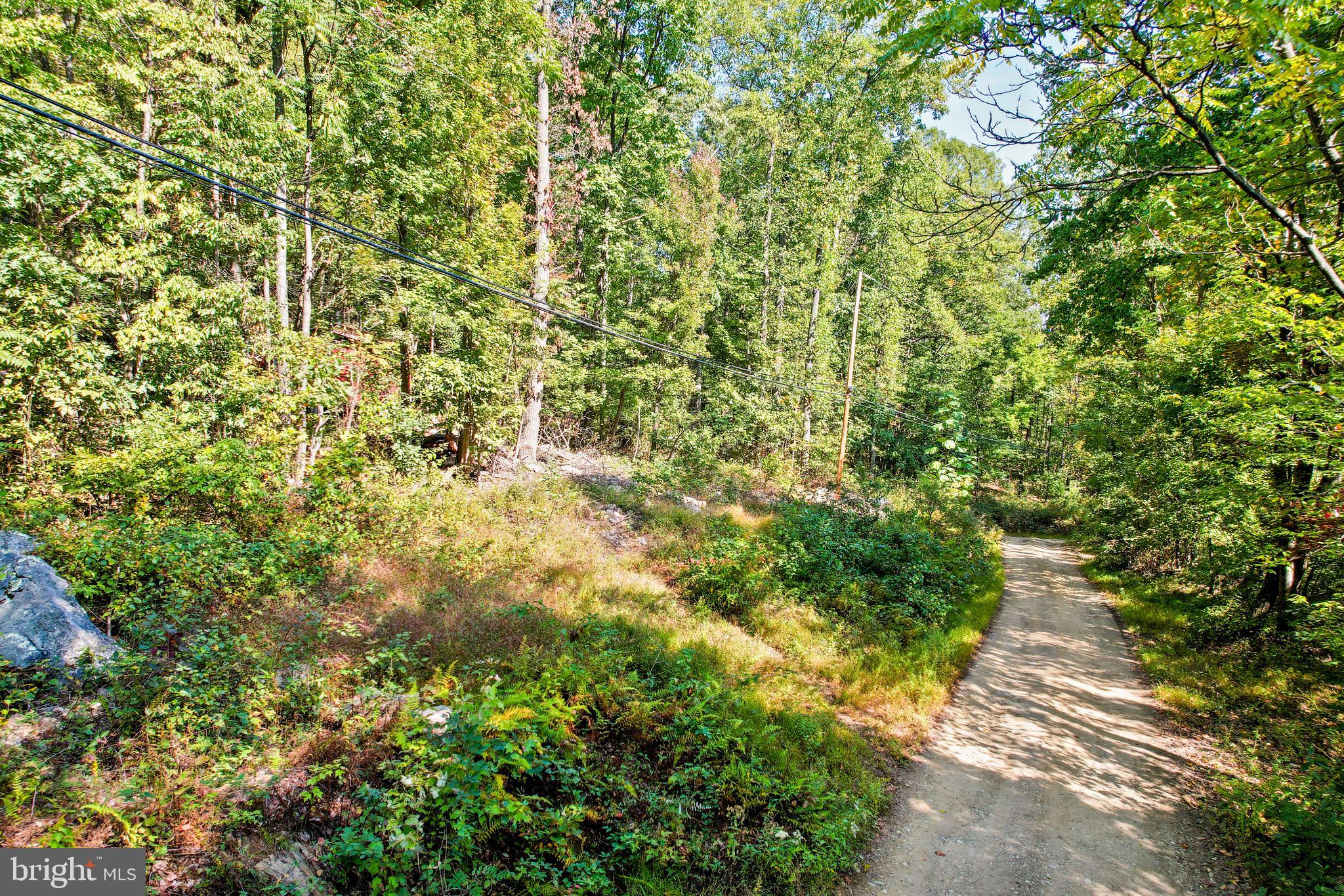 This property is perfect for a recreational property, camping trailer permitted.   It is  full of mature trees and minutes from Route 9 and Interstate I81, off the Hedgesville exit which is mid-way between the Maryland and Virginia state lines.  Note, a small portion of this property is on the left side of Short Mountain.  See map for details. This parcel is located in the Spruce Pine Hollow subdivision, unfortunately, mobile homes are not permitted.  In September 2024 this parcel perked for a Class II septic system, the Wisconsin Sand Mound only due to rock and water table.  For more details call now!