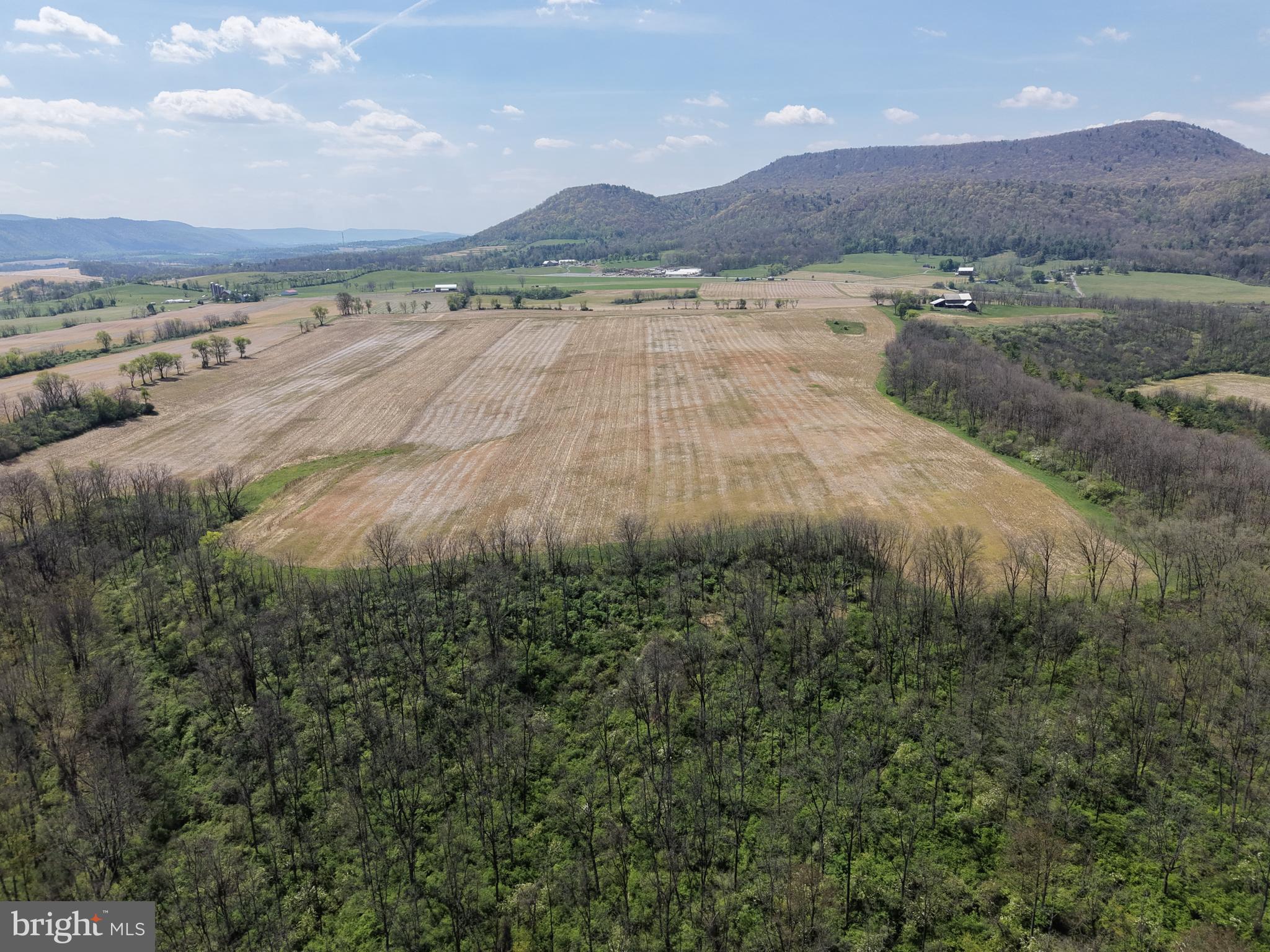 NONE AVAILABLE - Farm