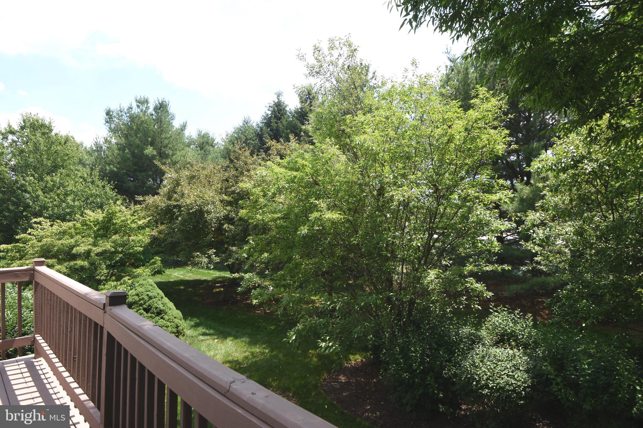LIONSGATE - Residential