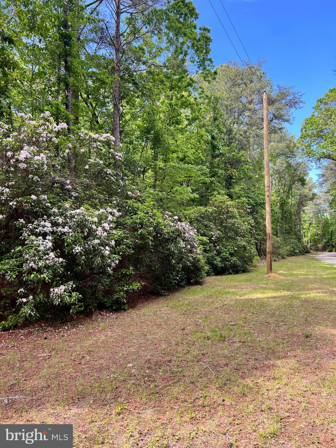 SELLER IS MOTIVATED....BRING US YOUR OFFER!  Very private, secluded, quiet parcel located in Heathsville, Virginia. 4.06 acres available to build the home of your dreams with no HOA.  Land has recently (8/15/24) been perc tested and yes, it does perc for a 3 Bedroom conventional system. Public boat landing minutes away. You owe it to yourself to take a ride and check it out!