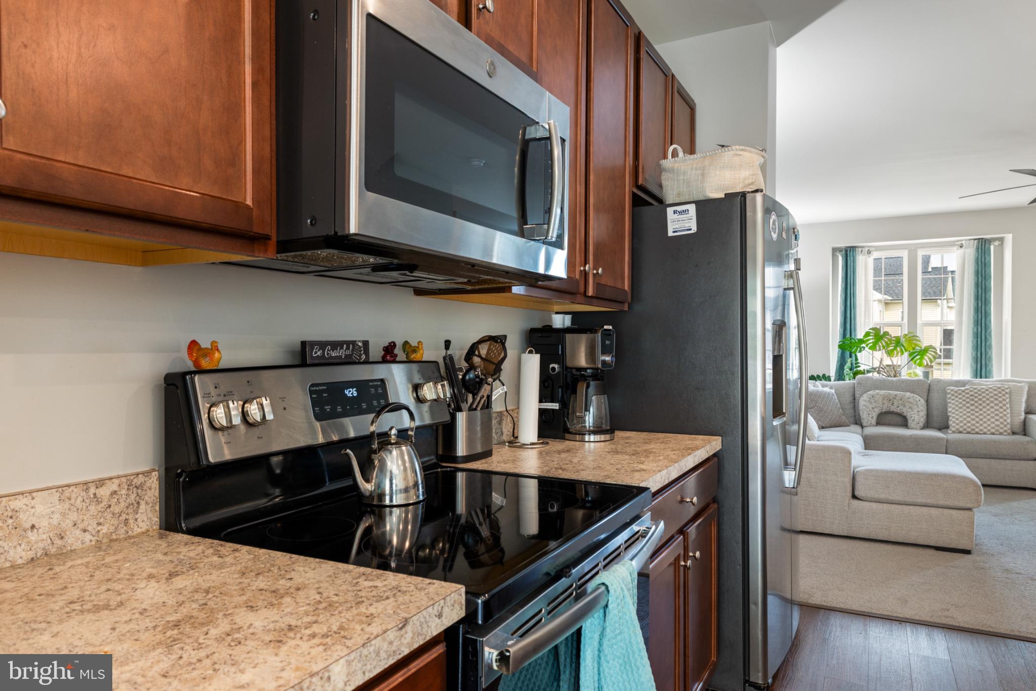 THE VILLAGE AT COURTHOUSE COMMONS - Residential