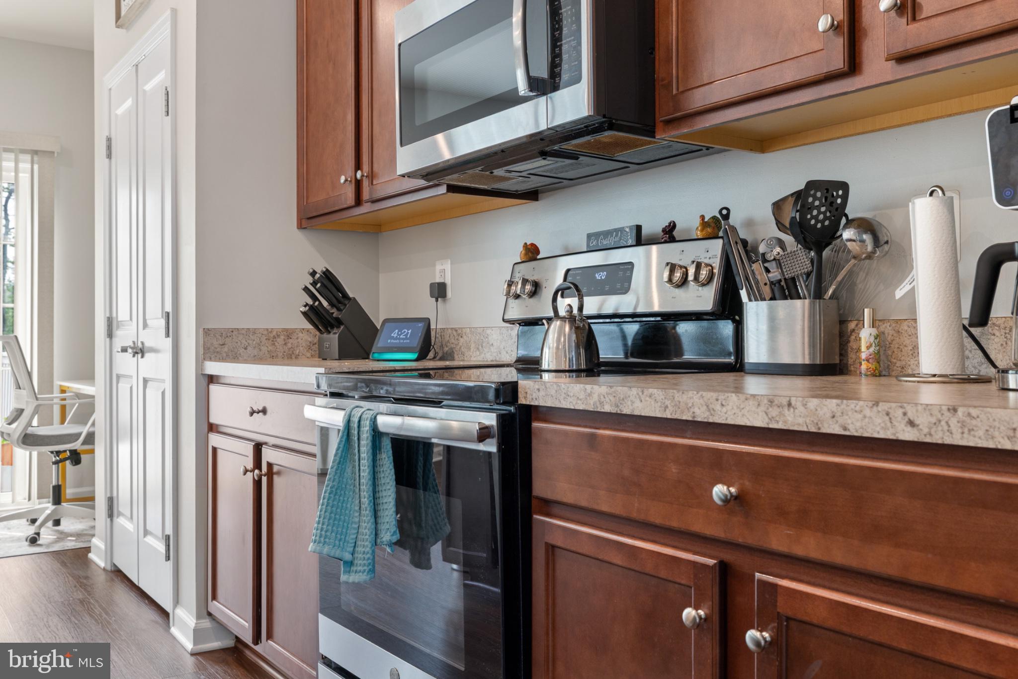 THE VILLAGE AT COURTHOUSE COMMONS - Residential