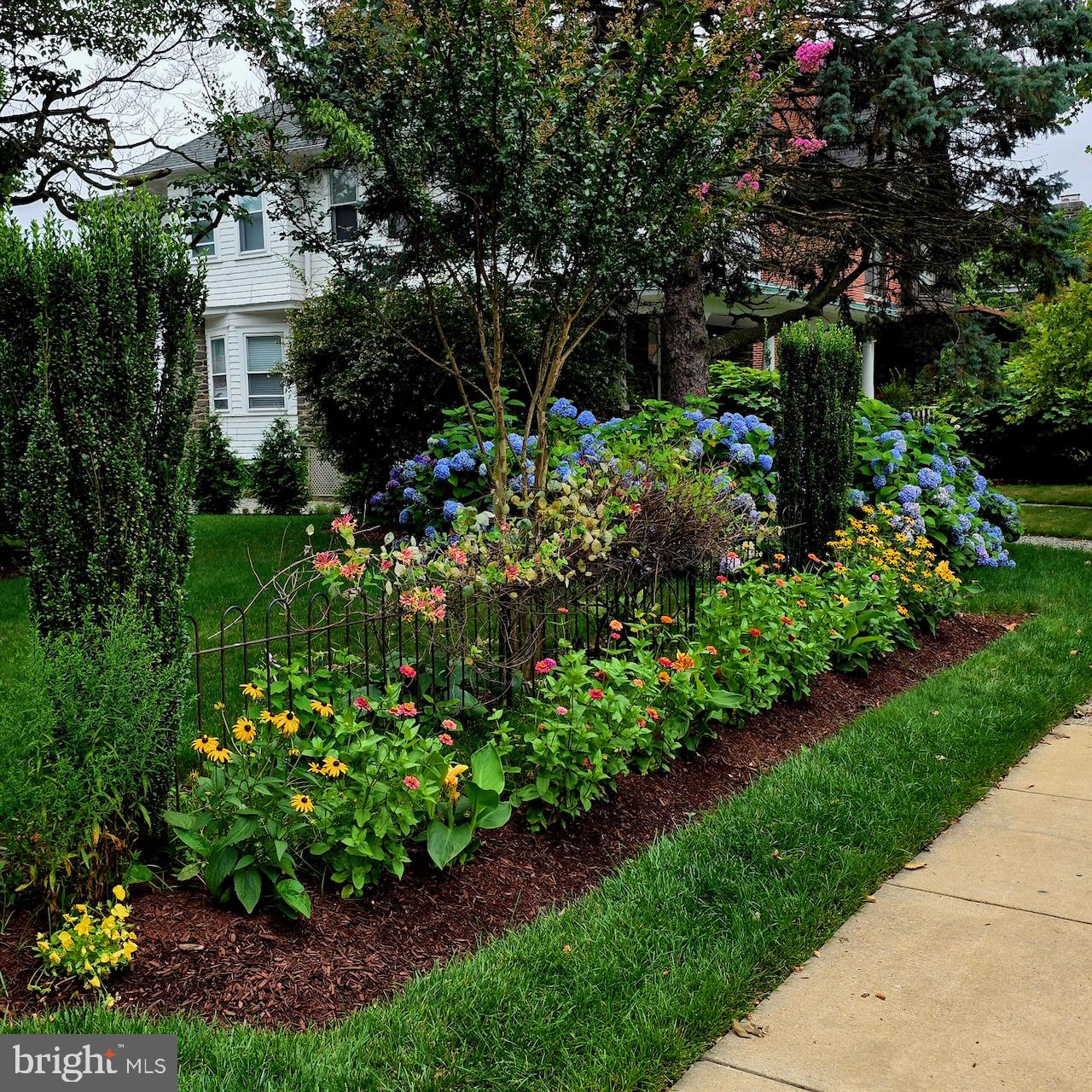BAYNARD BOULEVARD - Residential