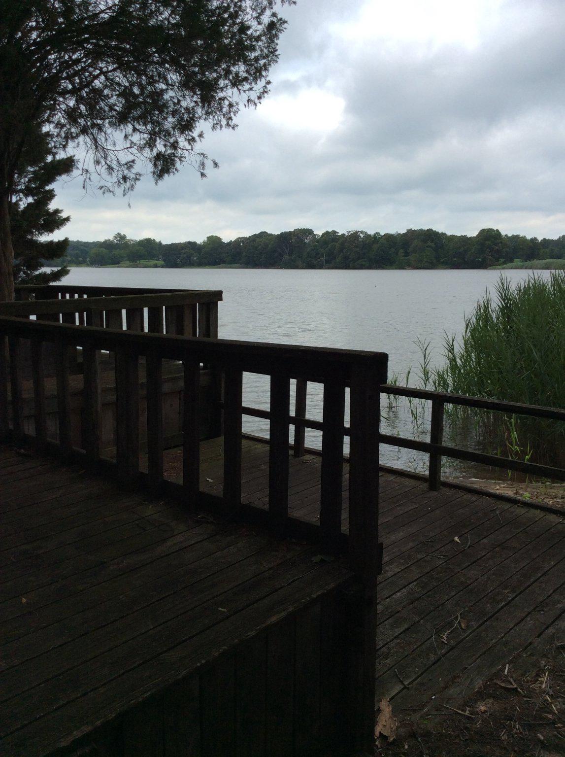 DUCKS NECK - Land
