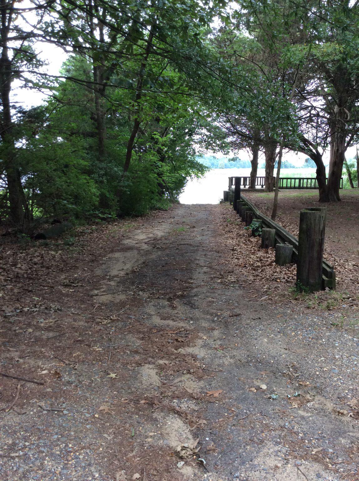 DUCKS NECK - Land