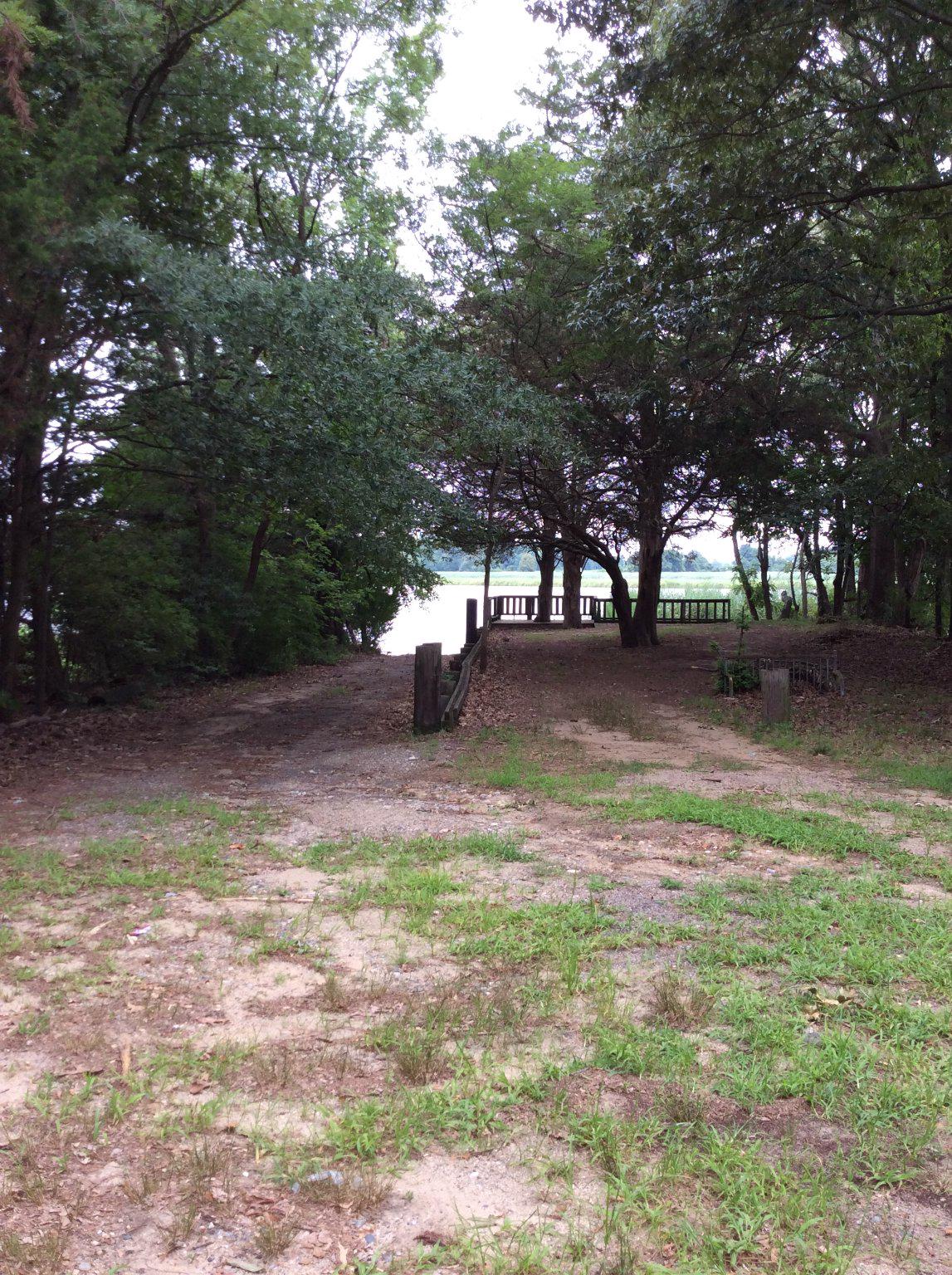 DUCKS NECK - Land