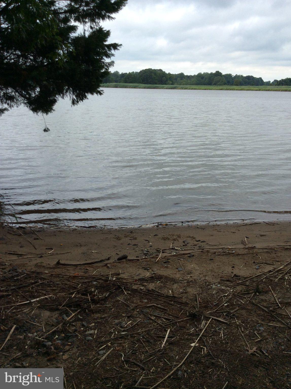 DUCKS NECK - Land