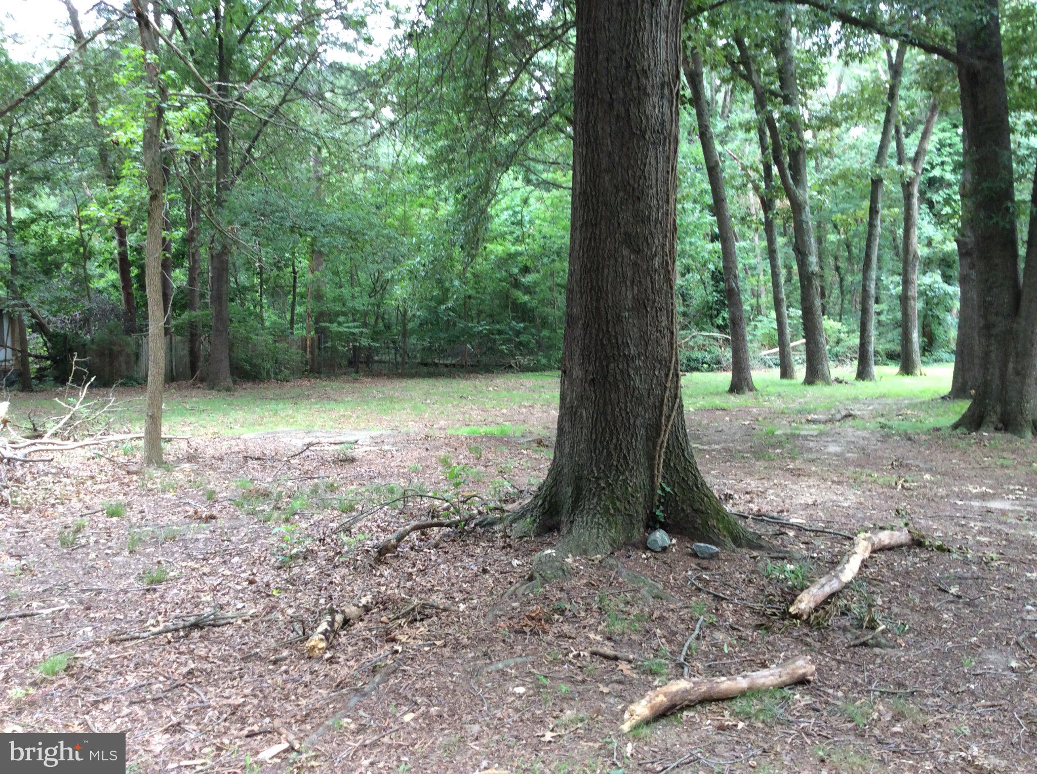 DUCKS NECK - Land