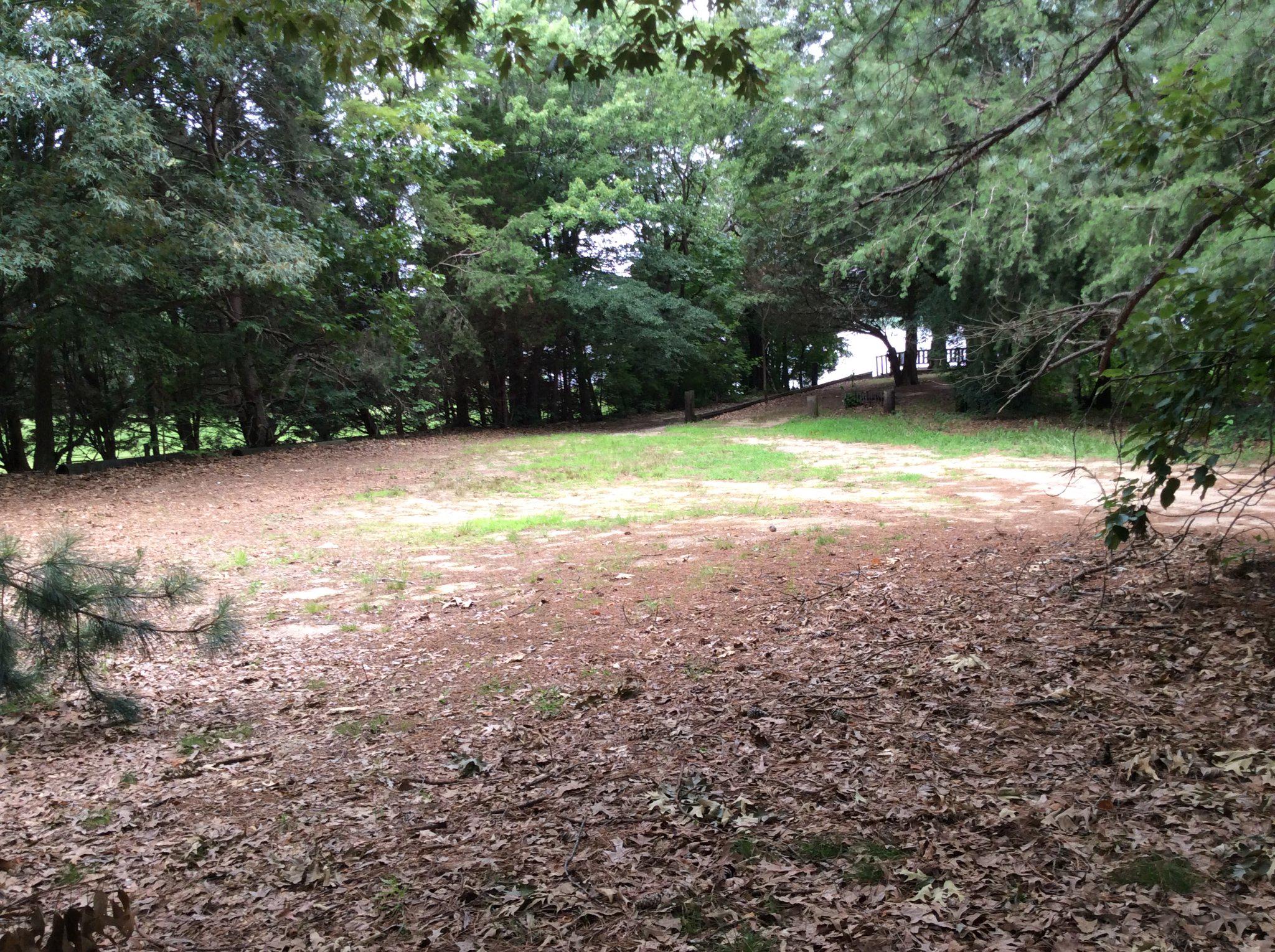 DUCKS NECK - Land