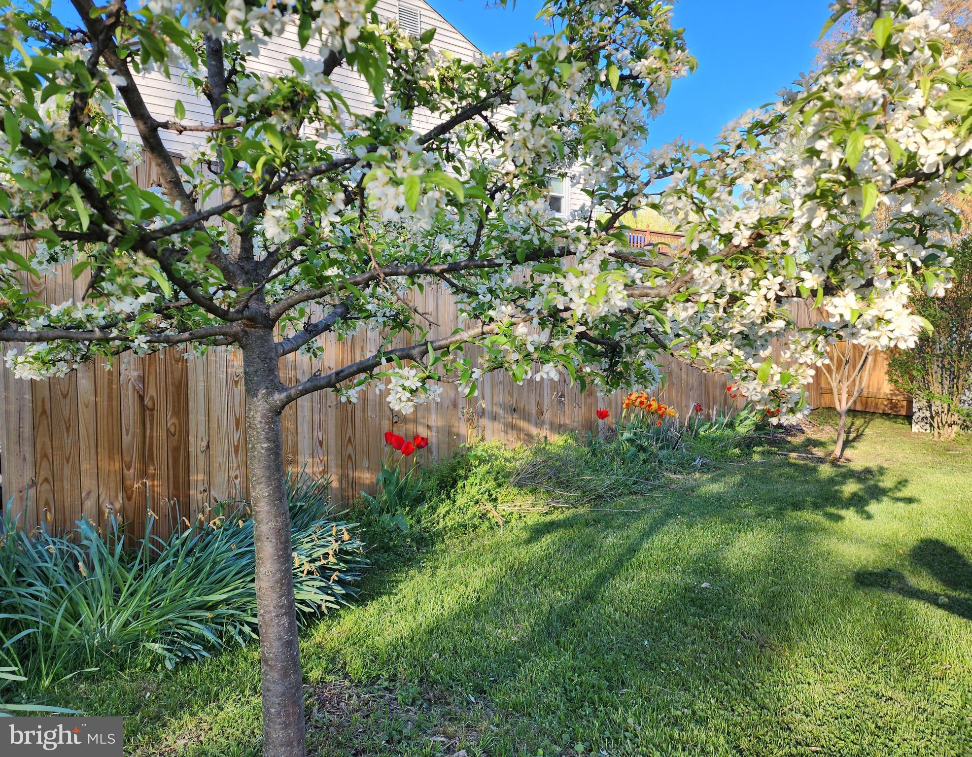 BARNESVILLE OUTSIDE - Residential