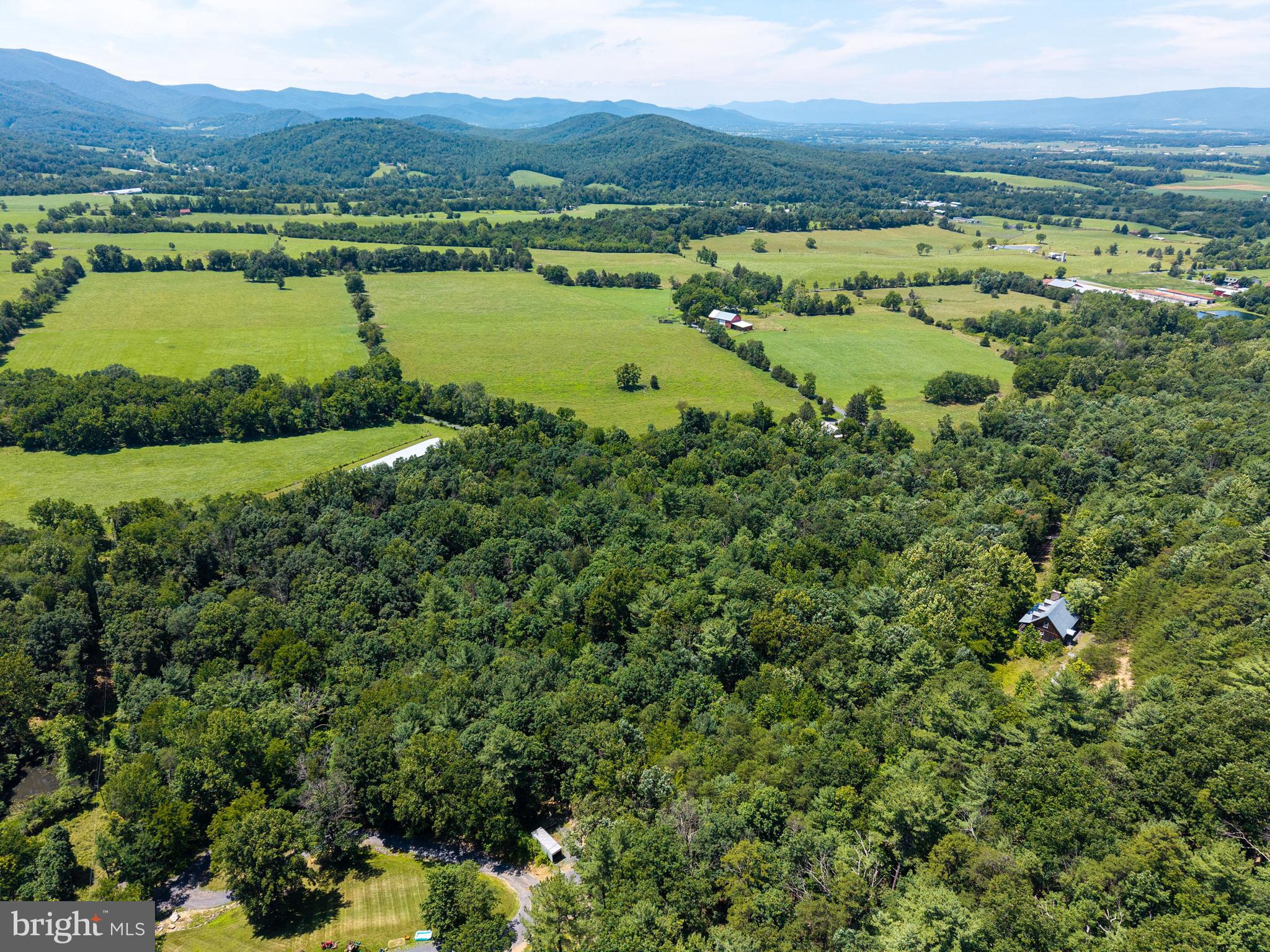 WHITE PINES DIVISON - Residential