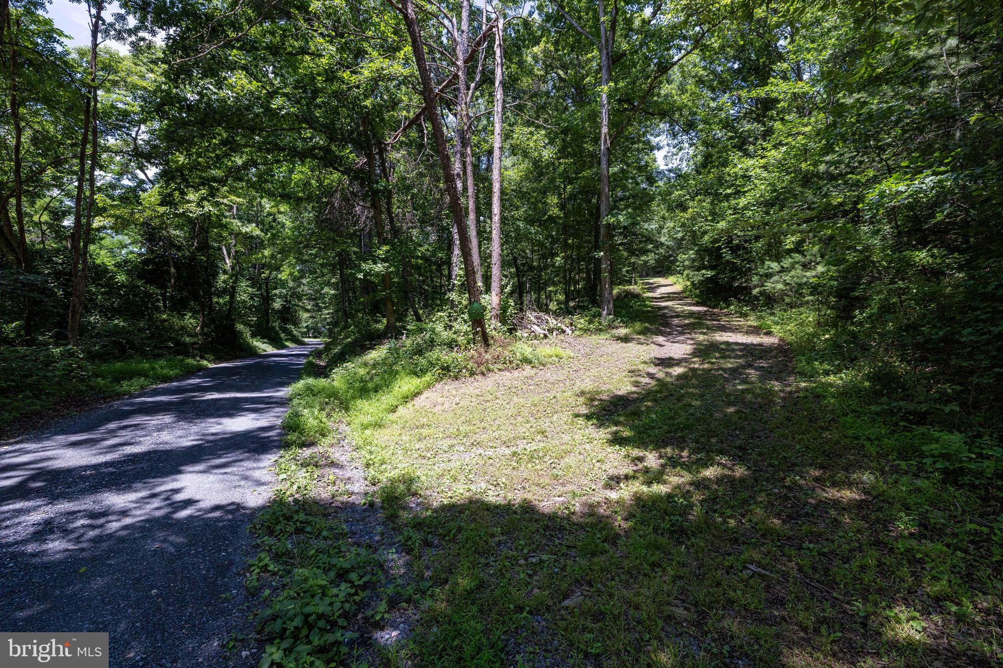WHITE PINES DIVISON - Residential
