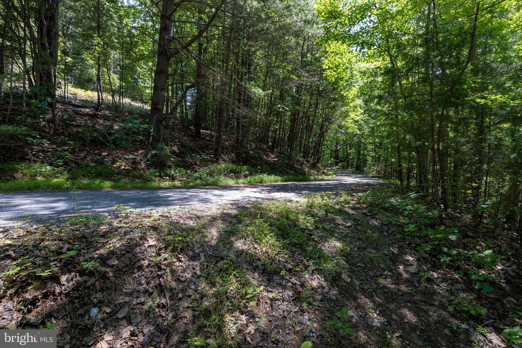 WHITE PINES DIVISON - Residential